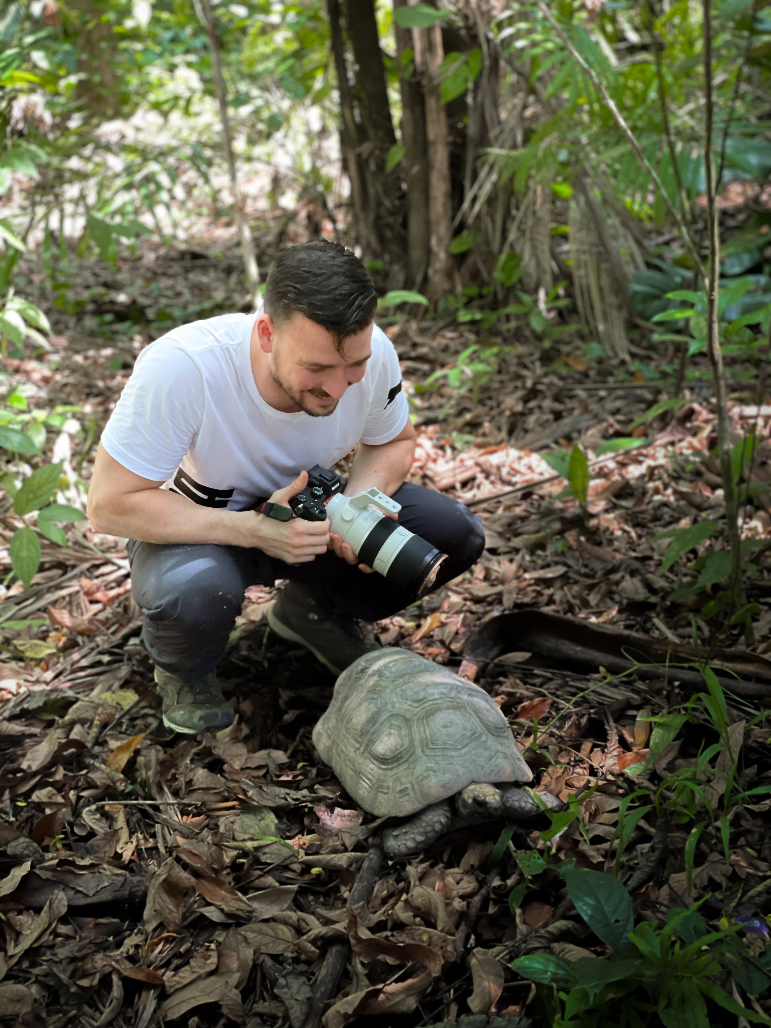 A person in a forest setting crouching near a tortoise, holding a camera with a large lens, surrounded by leaves and greenery.