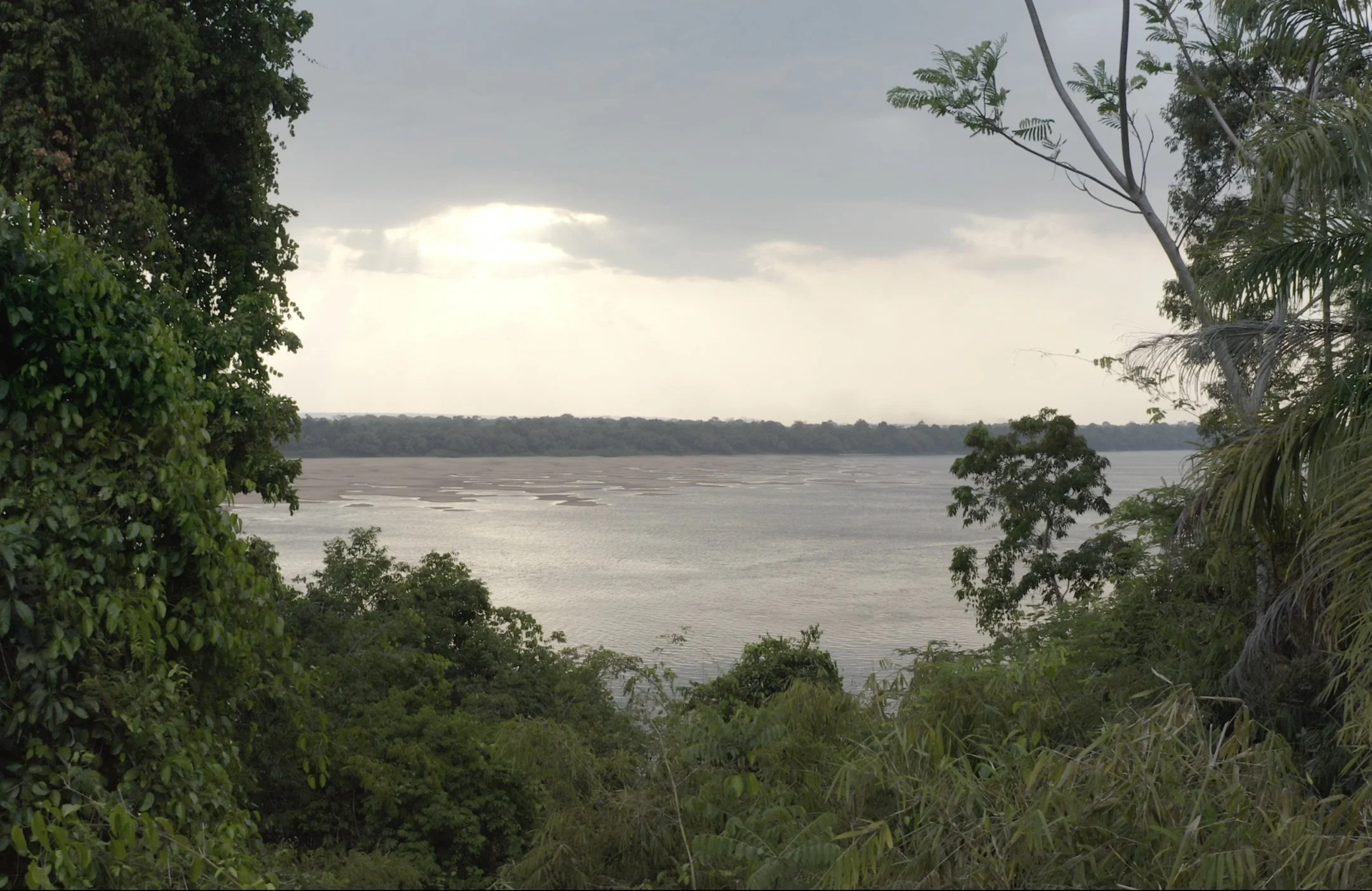 Scenic view of a river trombetas and dense tropical forest under a cloudy sky