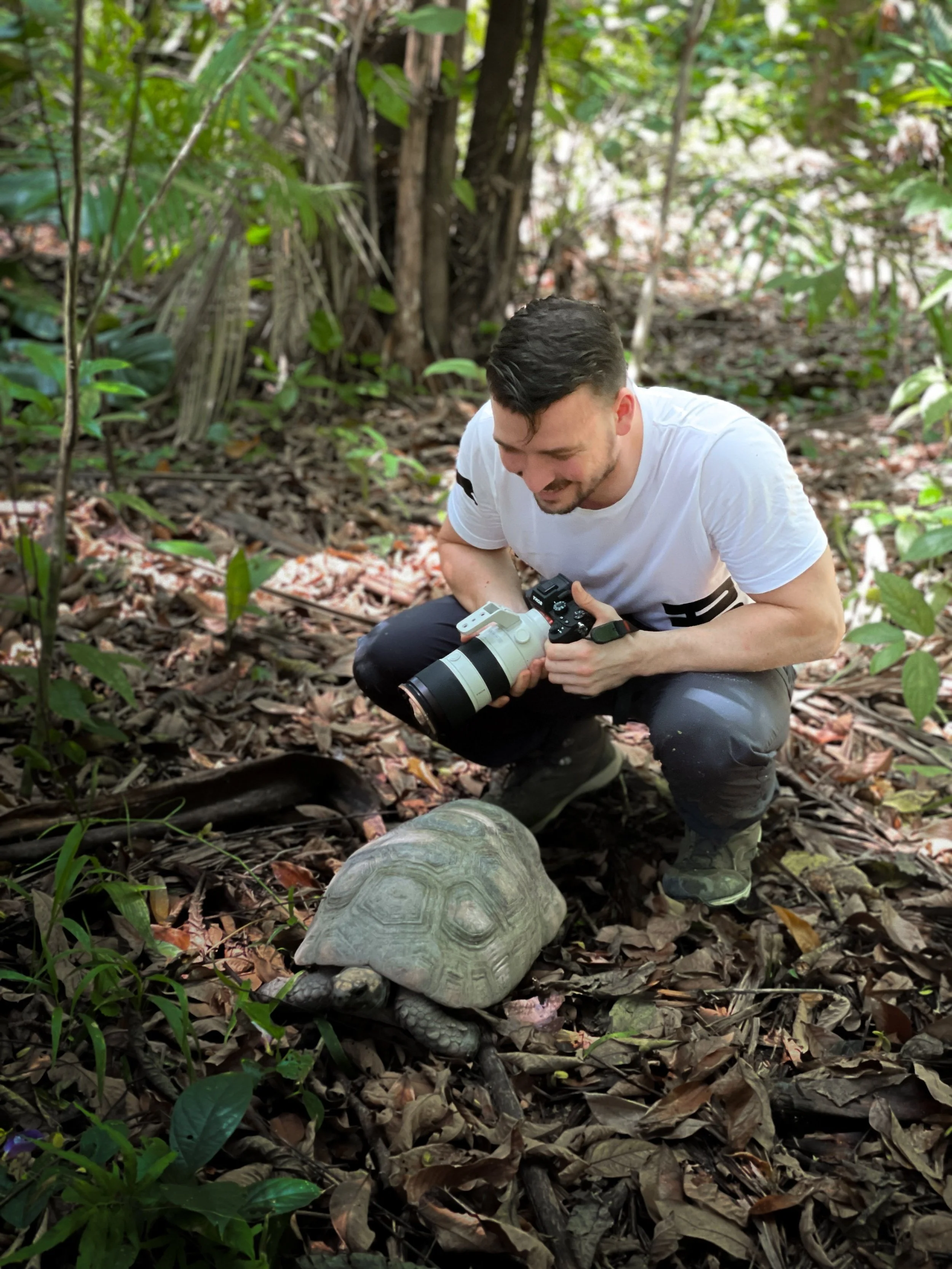 Basil Minder, a man crouching in forest with a camera, photographing a tortoise on the ground.