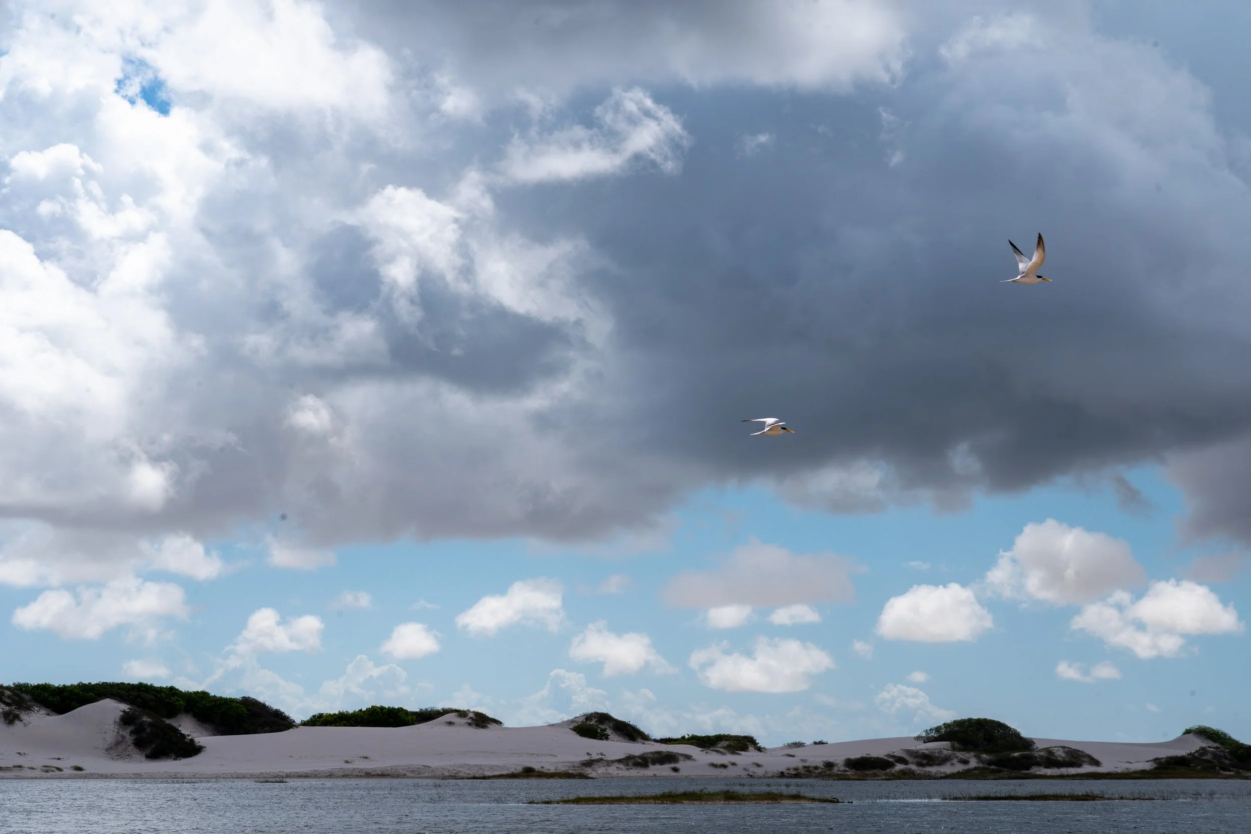 Seaside landscape with white sandy dunes, green shrubs, a water body, clouds in the sky, and two seagulls flying.