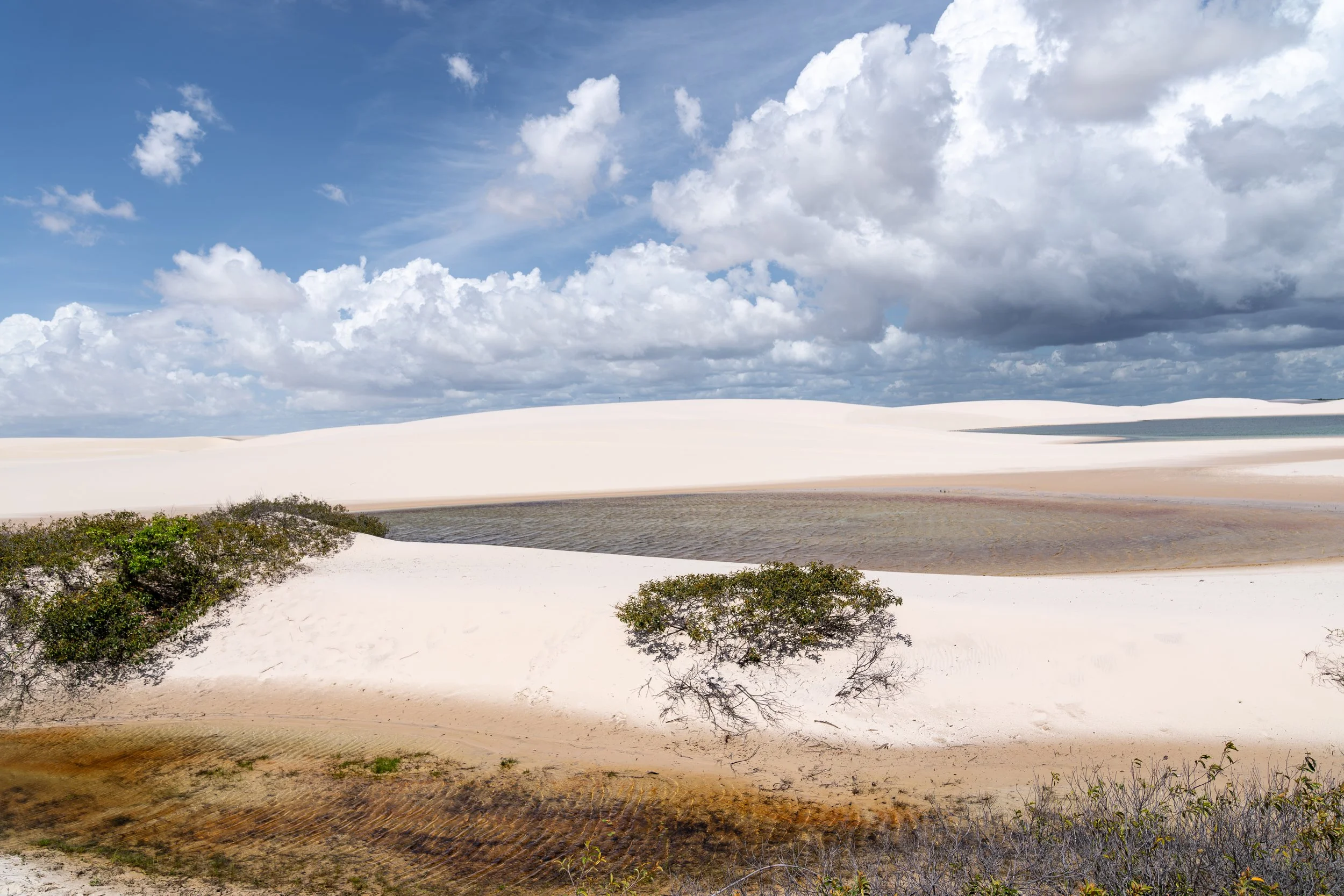 Sand dunes with patches of water and sparse bushes under a cloudy blue sky.