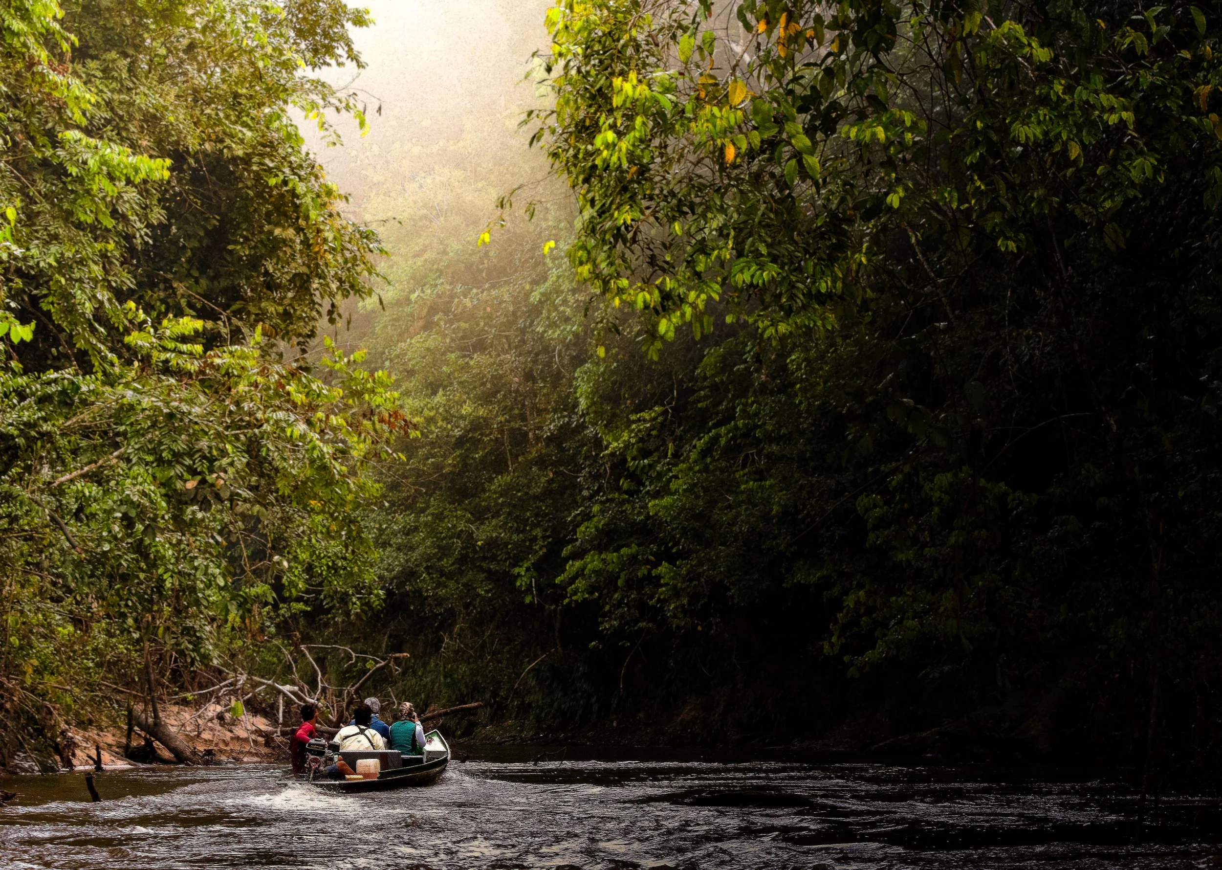 boat in rainforest.jpg