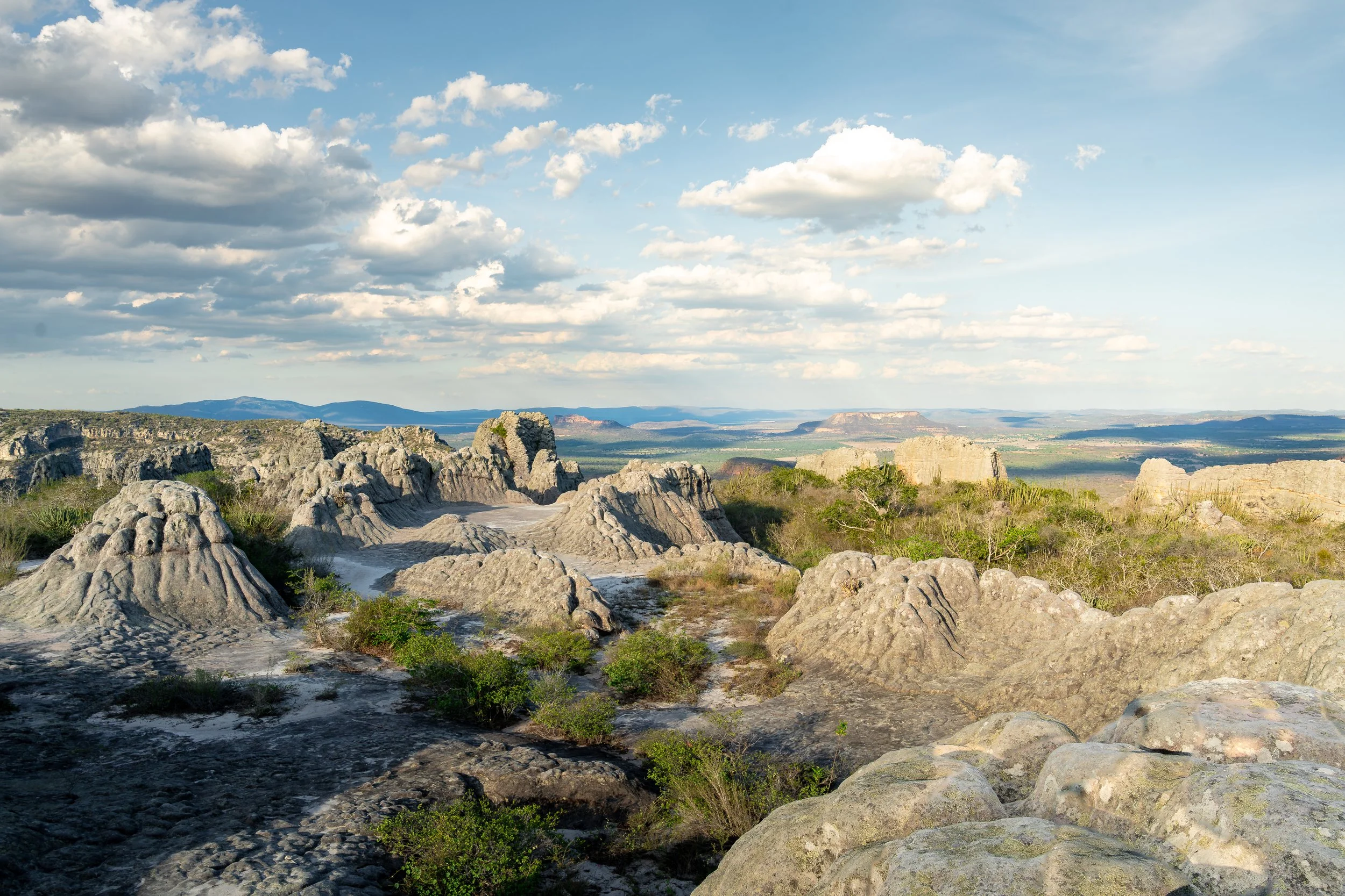 Landscape of rocky terrain with unique rock formations, sparse green bushes, and a distant flat horizon under a partly cloudy sky.
