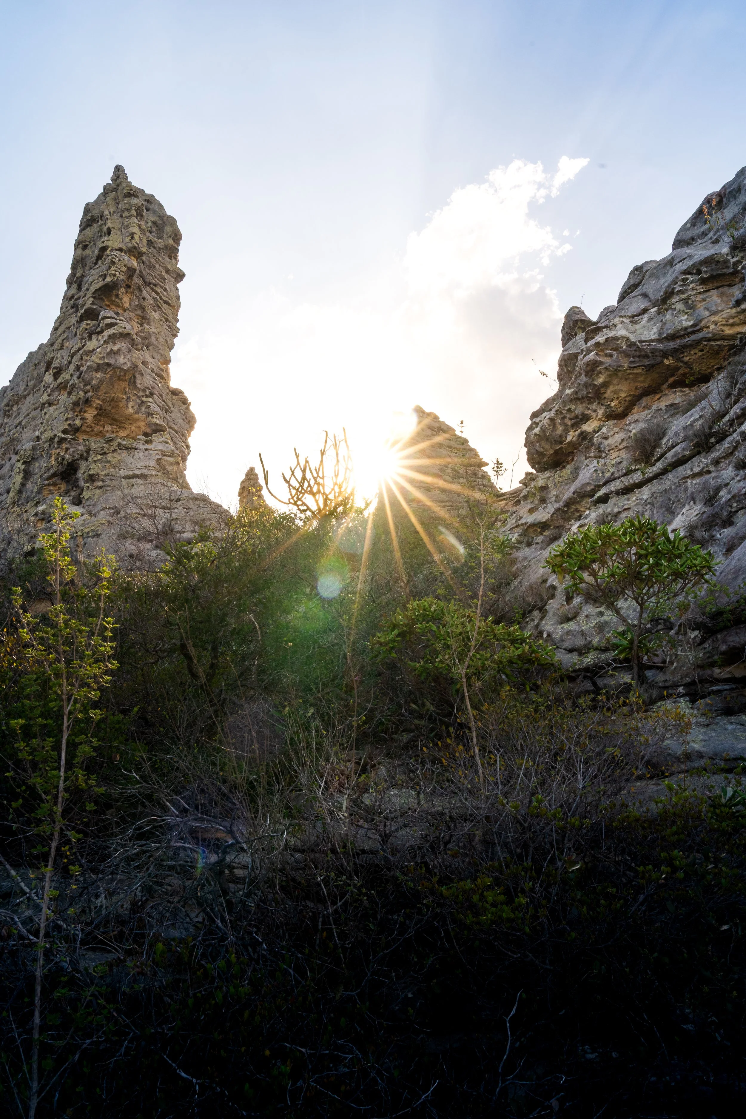 Sunrise or sunset shining through rocky desert landscape with green bushes in foreground