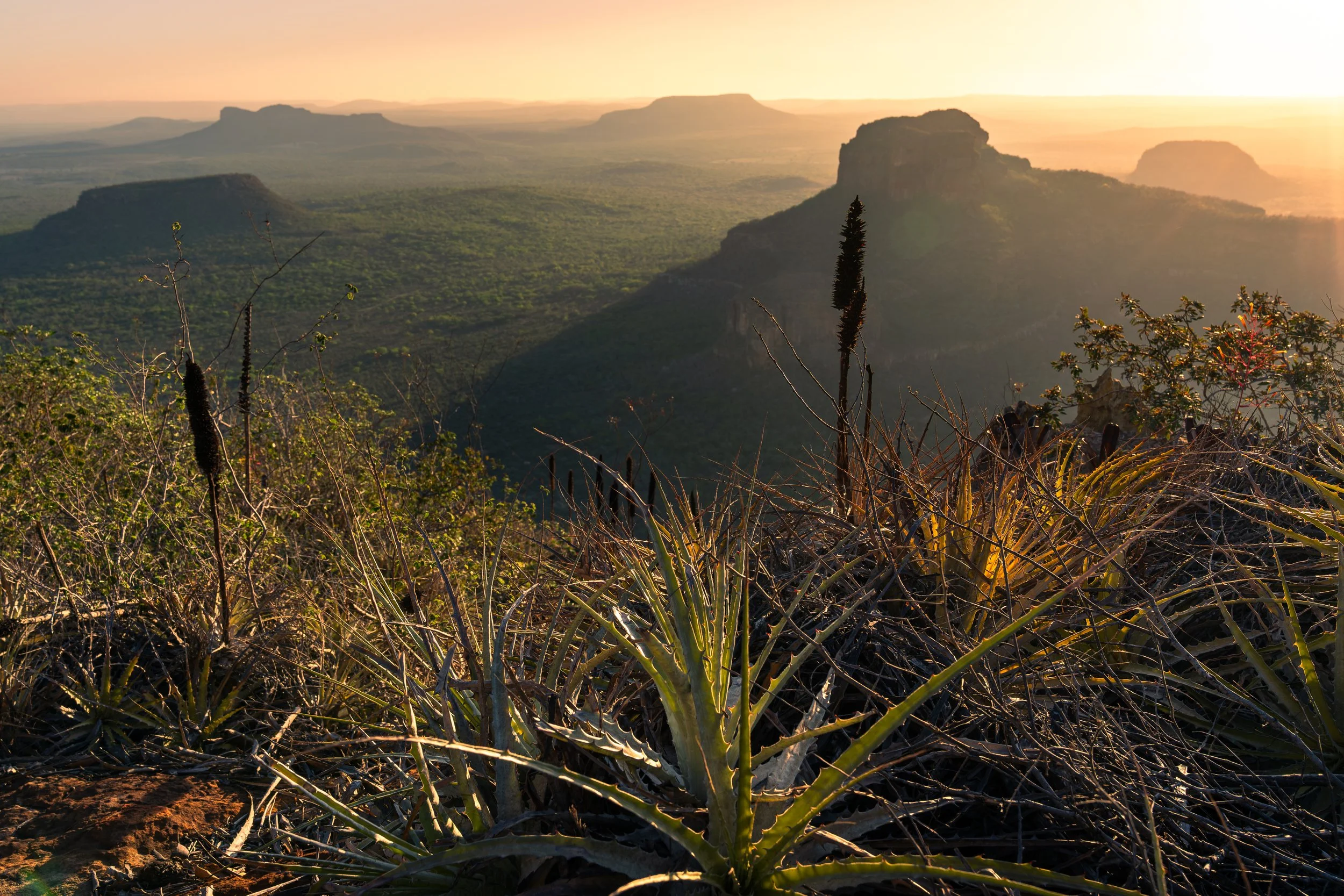 Sunset over a rugged landscape with distant flat-topped mountains, desert vegetation in the foreground, and a bright sun in the sky.