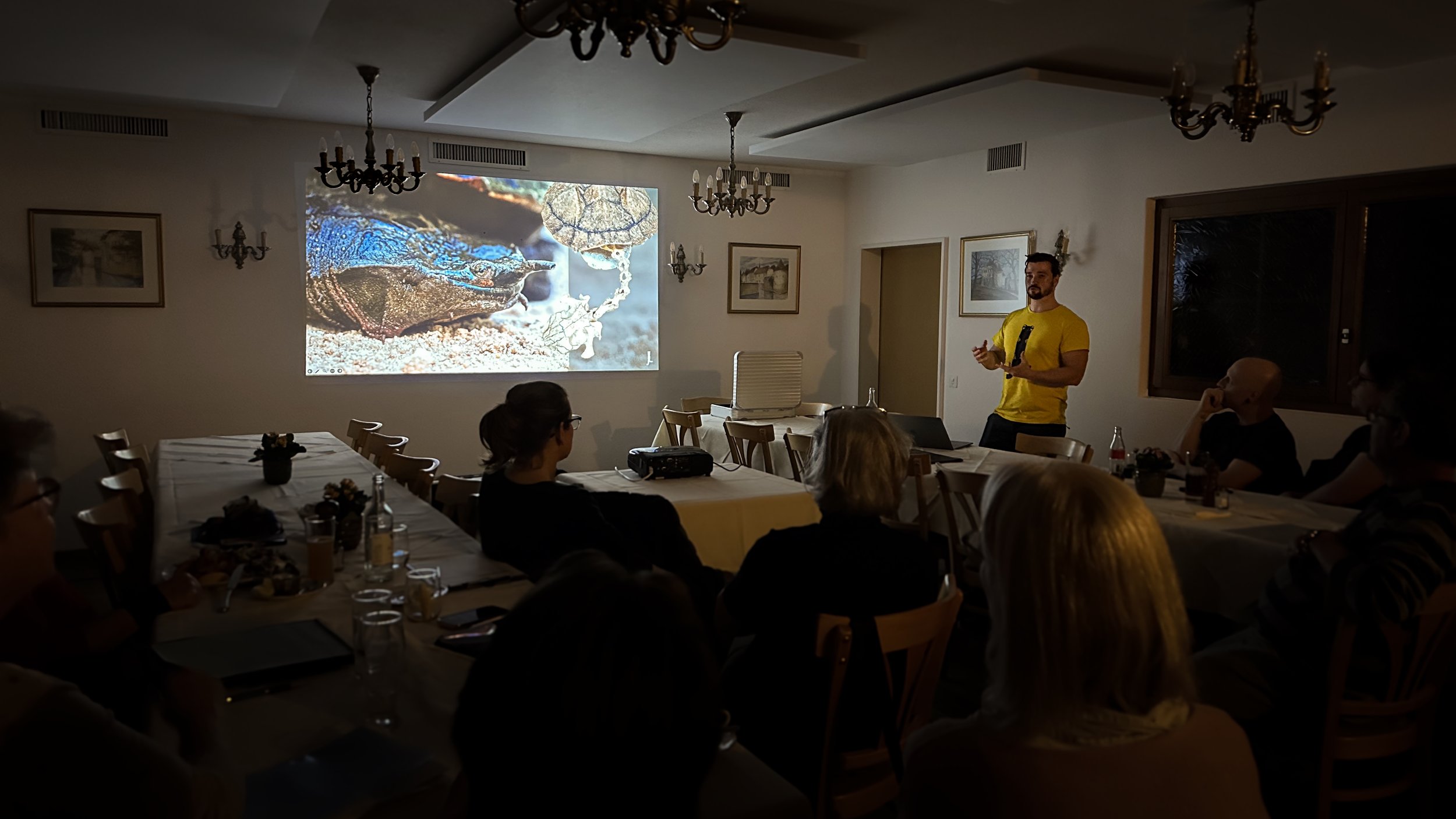 Basil Minder presenting for Junglelens Mata Mata turtle