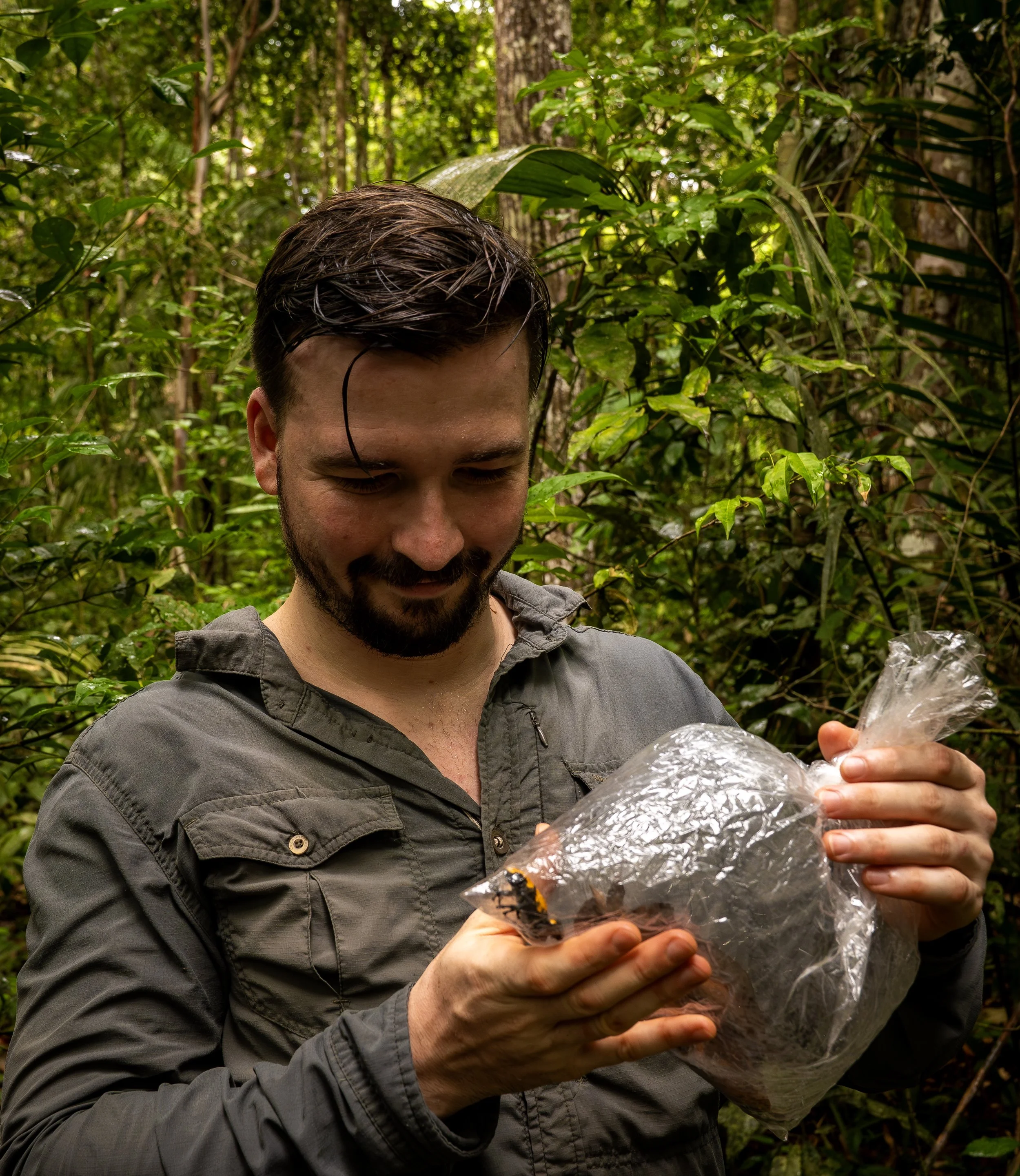 Basil Minder holding Adlephobates galactonotus a poison frog