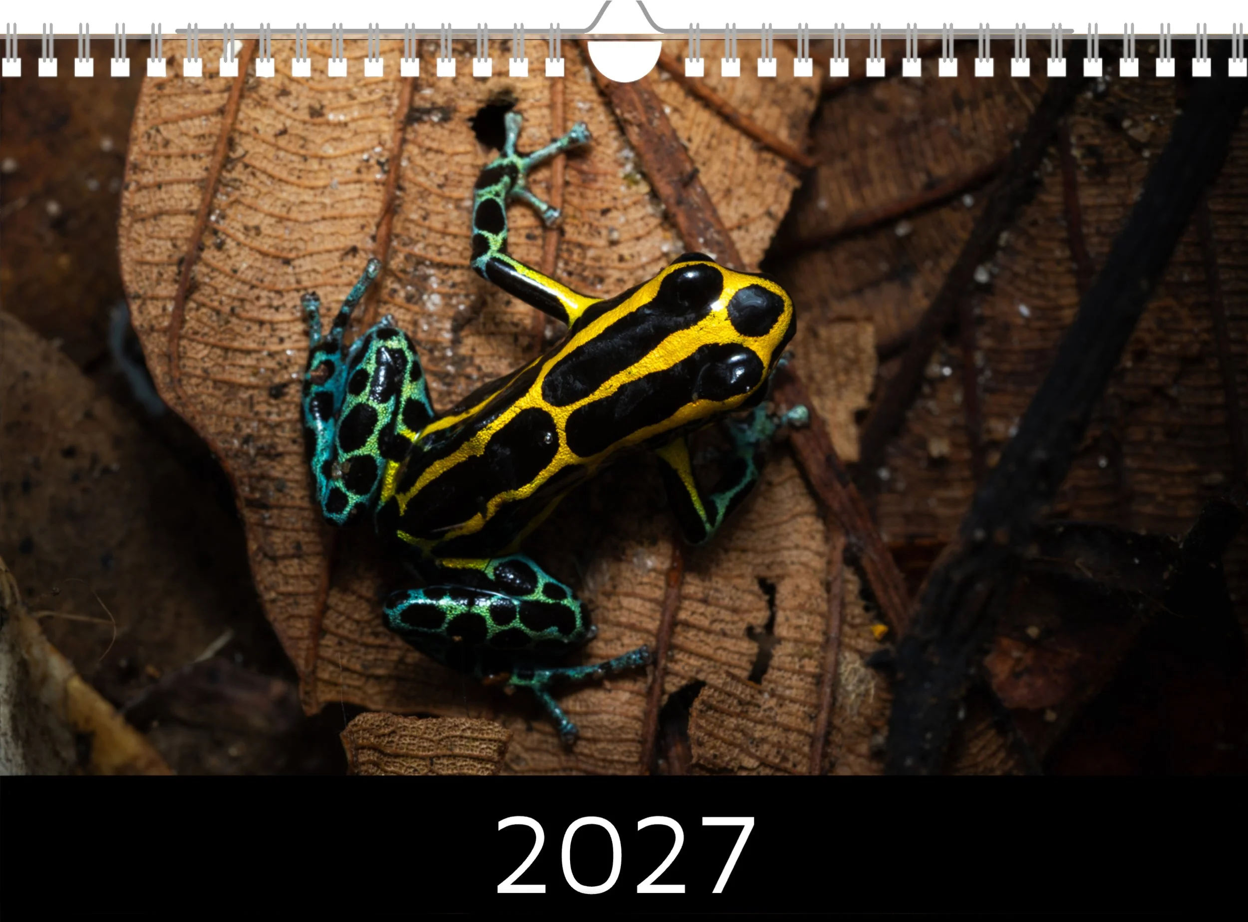 Screenshot 2026-09-22 at 22.46.jpg