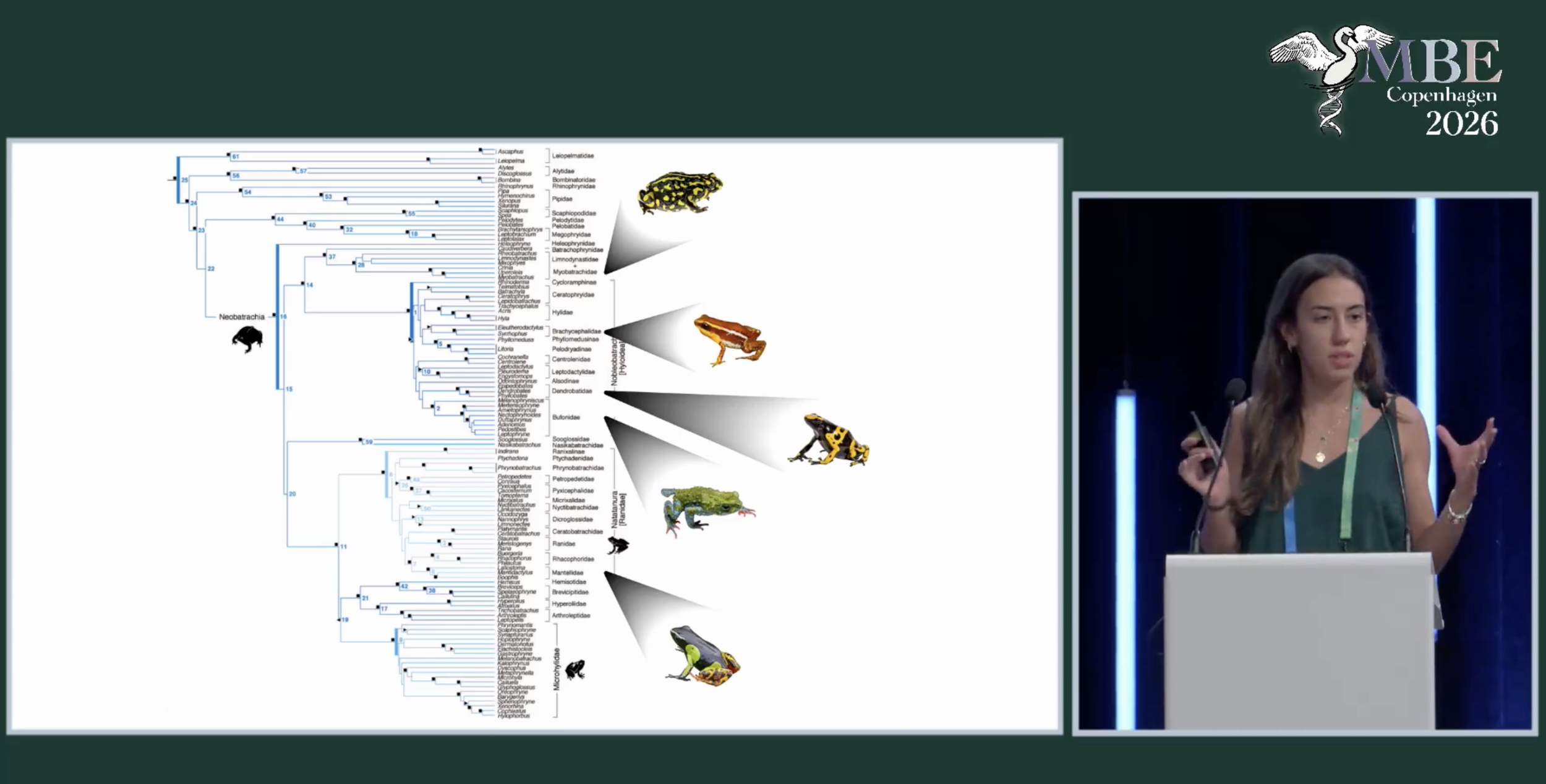 Julia presented new phylogenomic research on how alkaloid sequestration evolved in poison frogs, and its molecular adaptations, at the SMBE Annual Meeting.