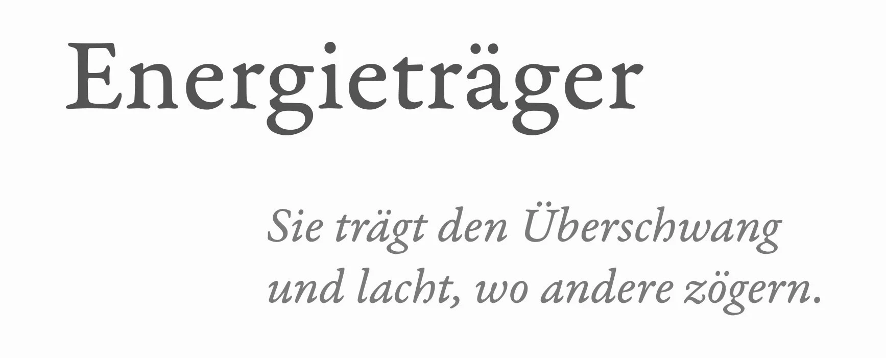 Energie_FC.jpg