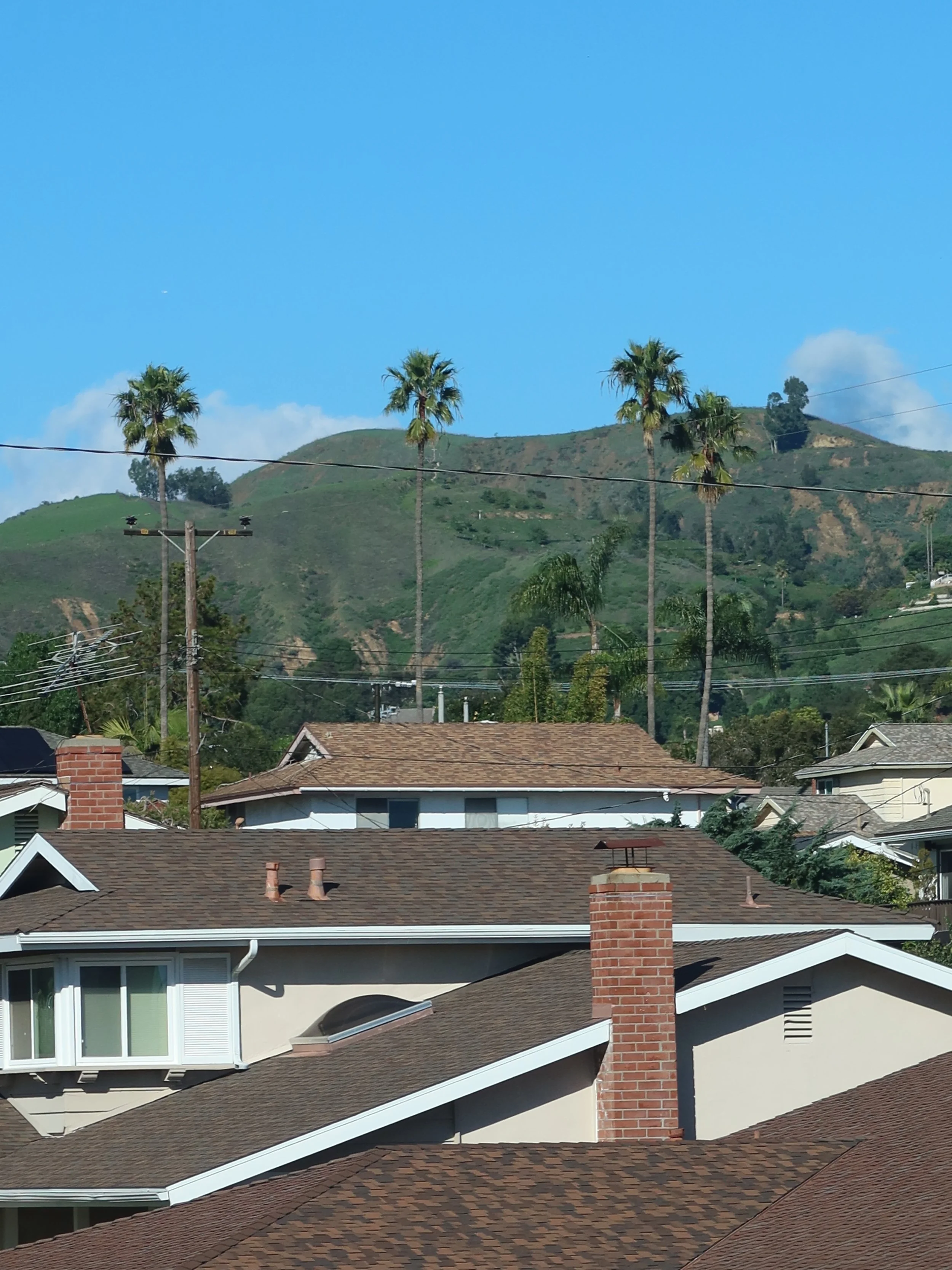Get ready for wildfire season! We offer property consultations and full service wildfire mitigation management for homes in Ventura, Santa Barbara, and Los Angeles counties.
