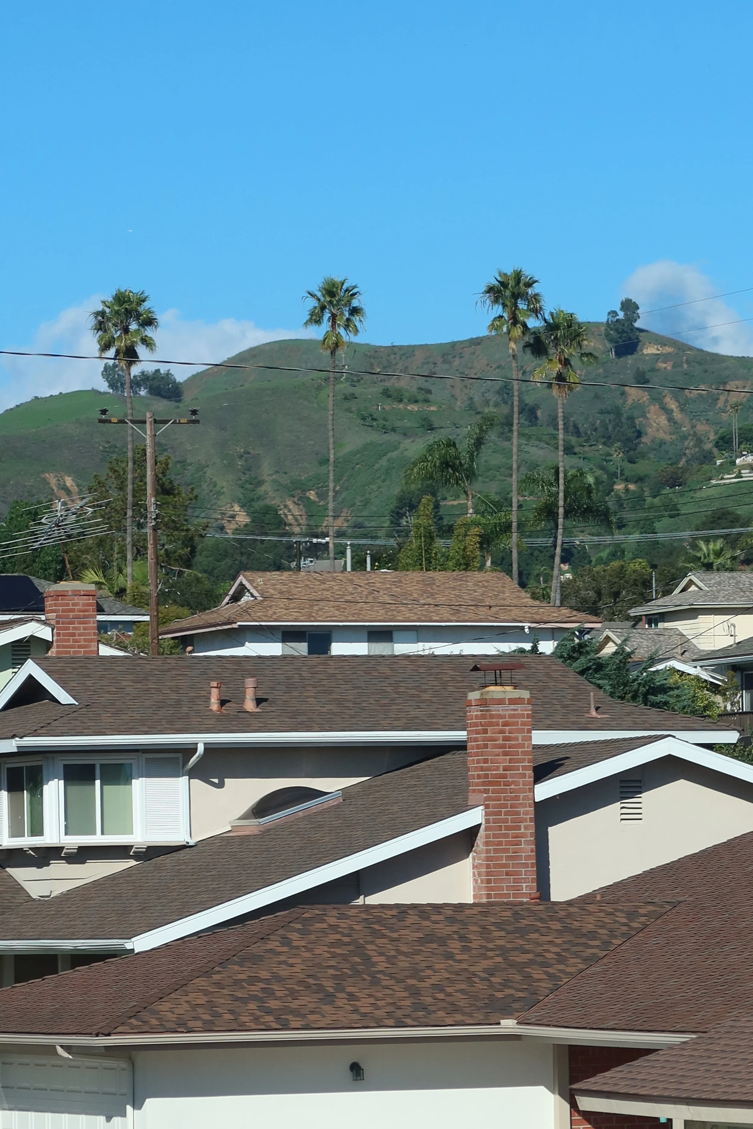 single family home roofs with ventura hillside and palm trees in the background