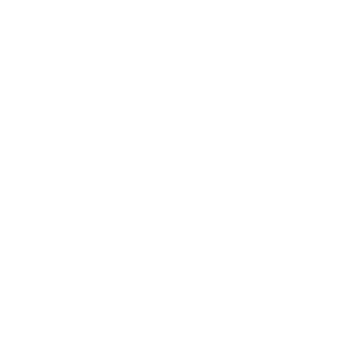 shield icon