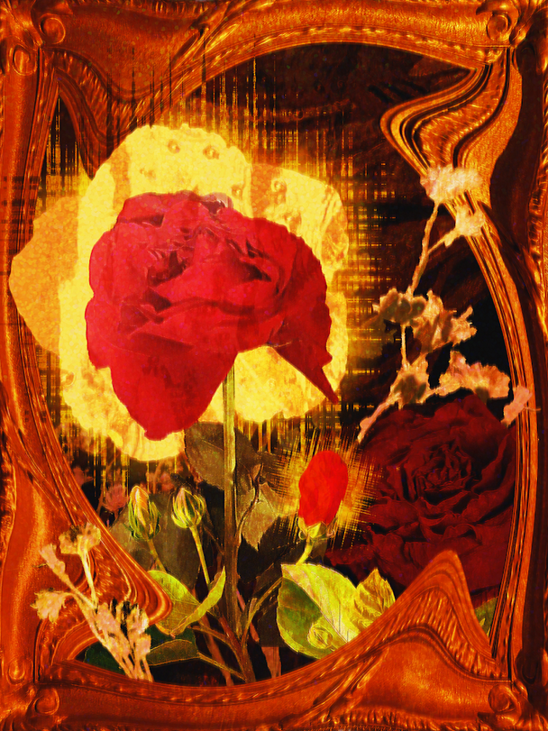 Screenshot 2025-12-22 at 15-24-45 Insta - Google Drive.png