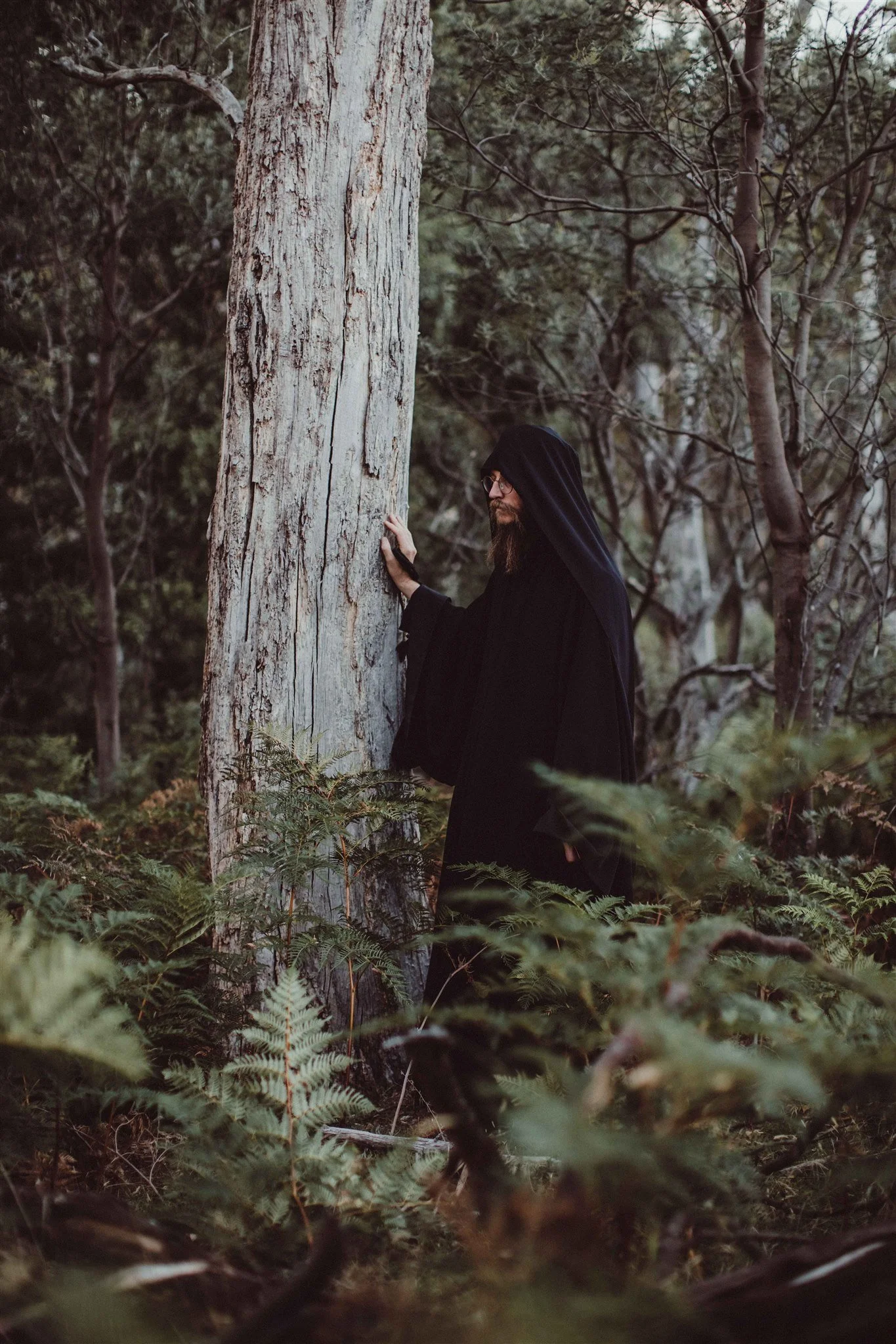 A person dressed like a monk or wizard, wearing a long black robe and hood, is standing in a wooded forest and touching a large tree trunk.