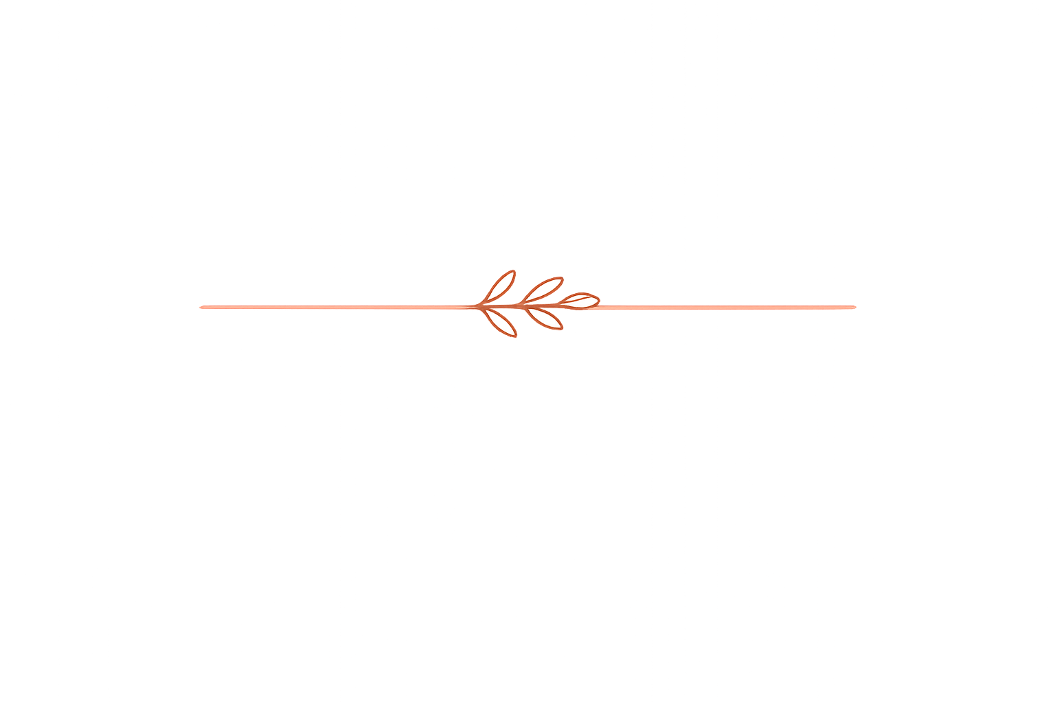 Decorative background with a horizontal line and a small leaf illustration on a peach-colored backdrop.