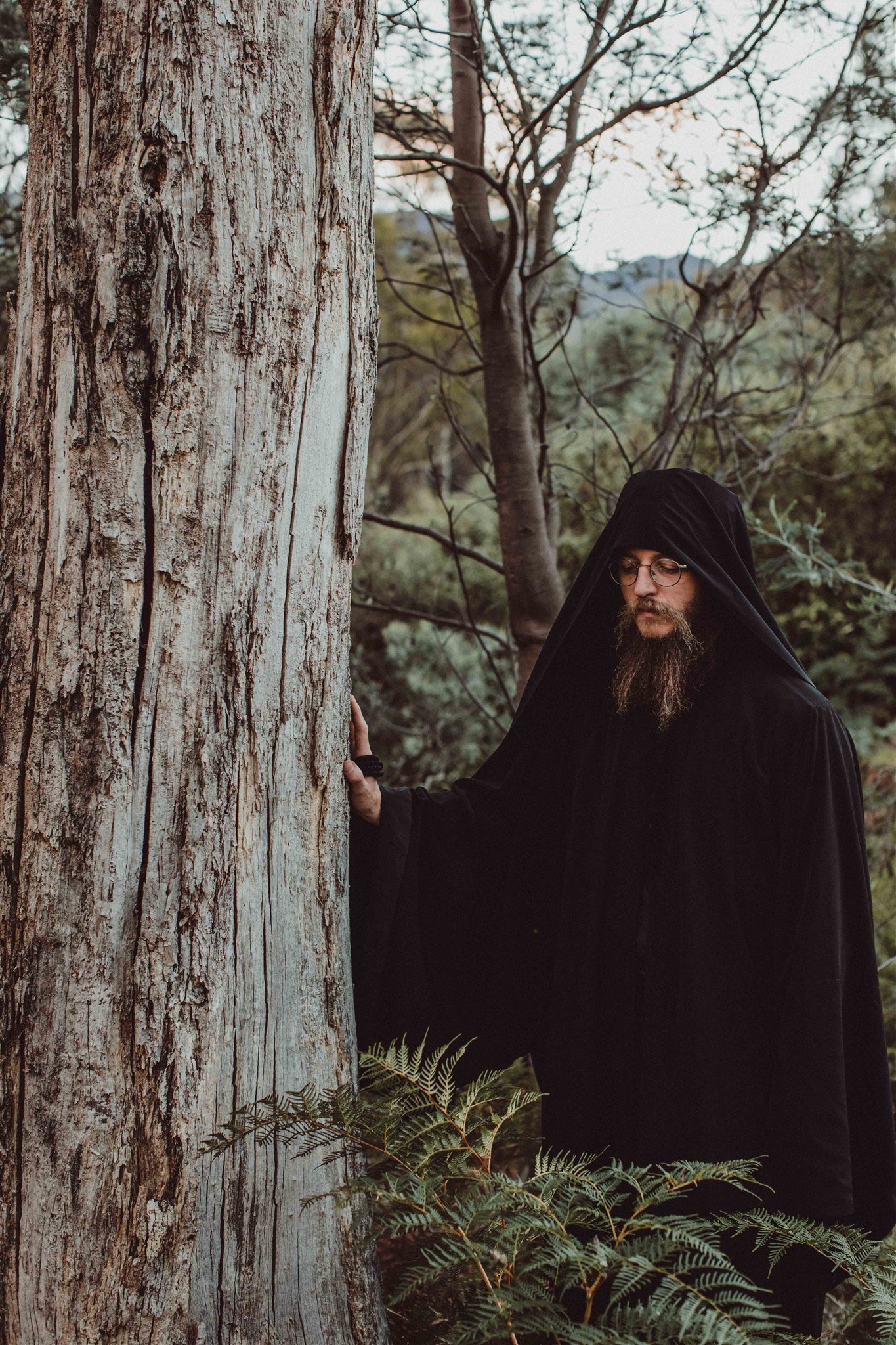 A man with glasses and a beard wearing a black cloak with a hood stands in a wooded area, touching a large tree trunk with his left hand, surrounded by ferns and bare branches.