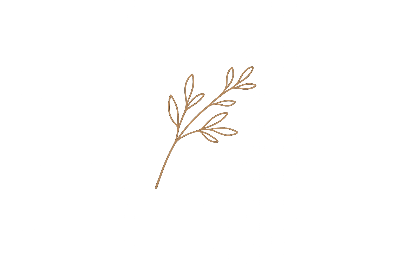 A simple, minimalist digital illustration of a brown, thin, leafy branch against a black background.