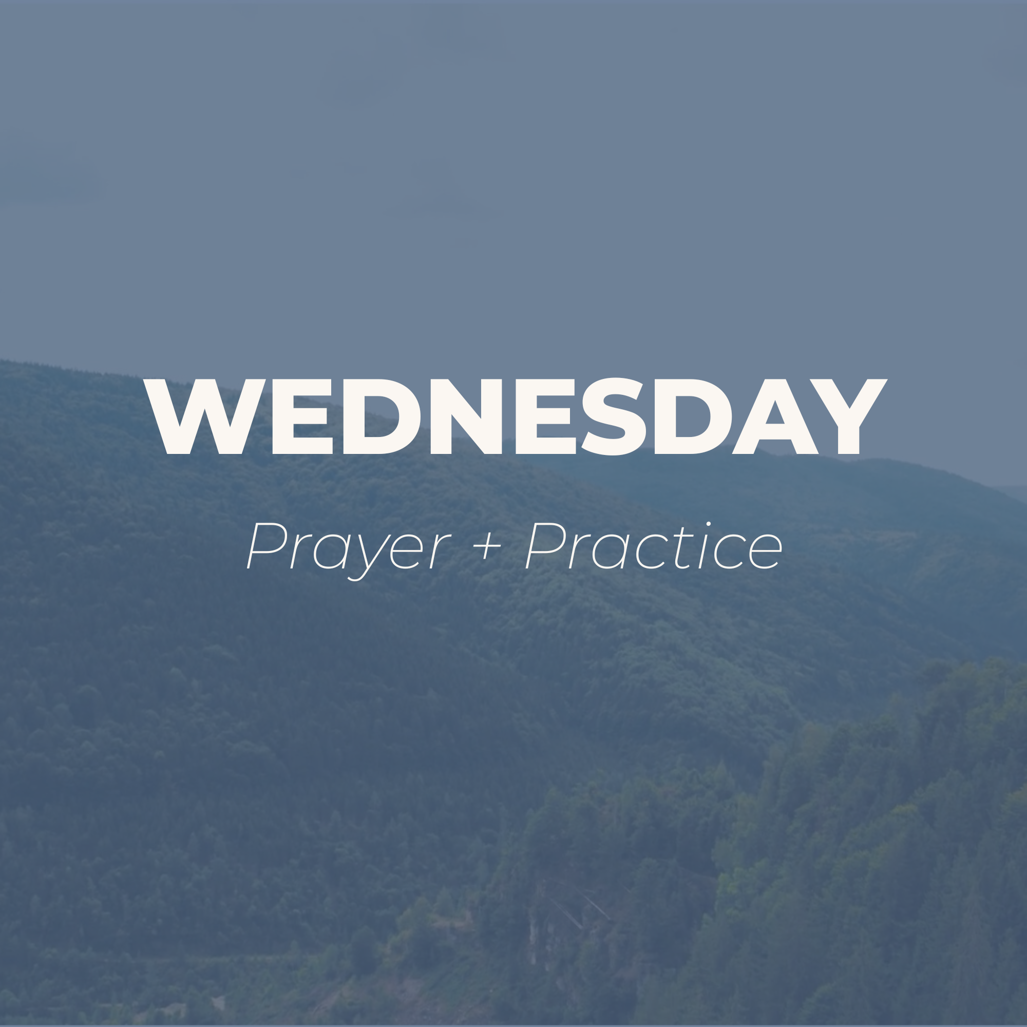 Wednesdays at Mount Pleasant 