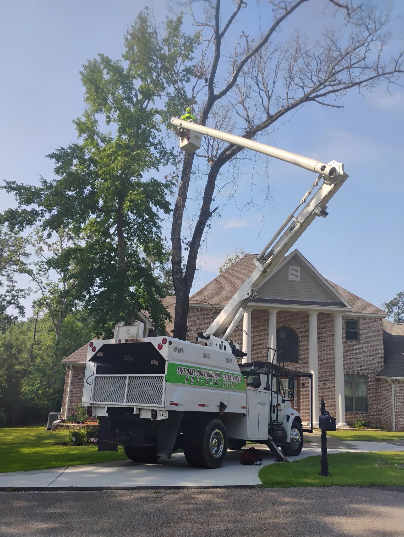 Hazardous Tree Removal