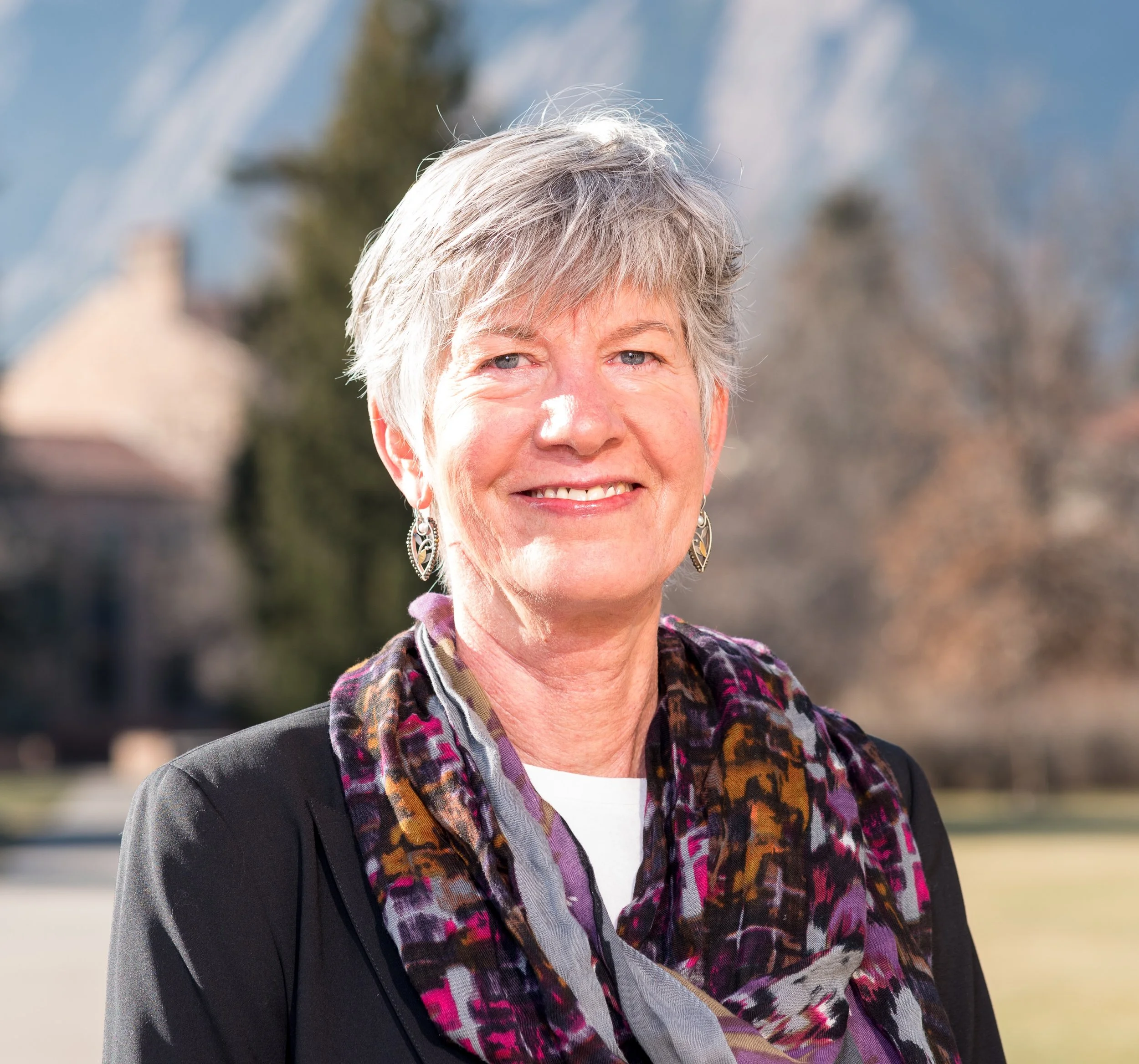 Lesley Smith, State Rep HD49, Former CU Regent-At-Large