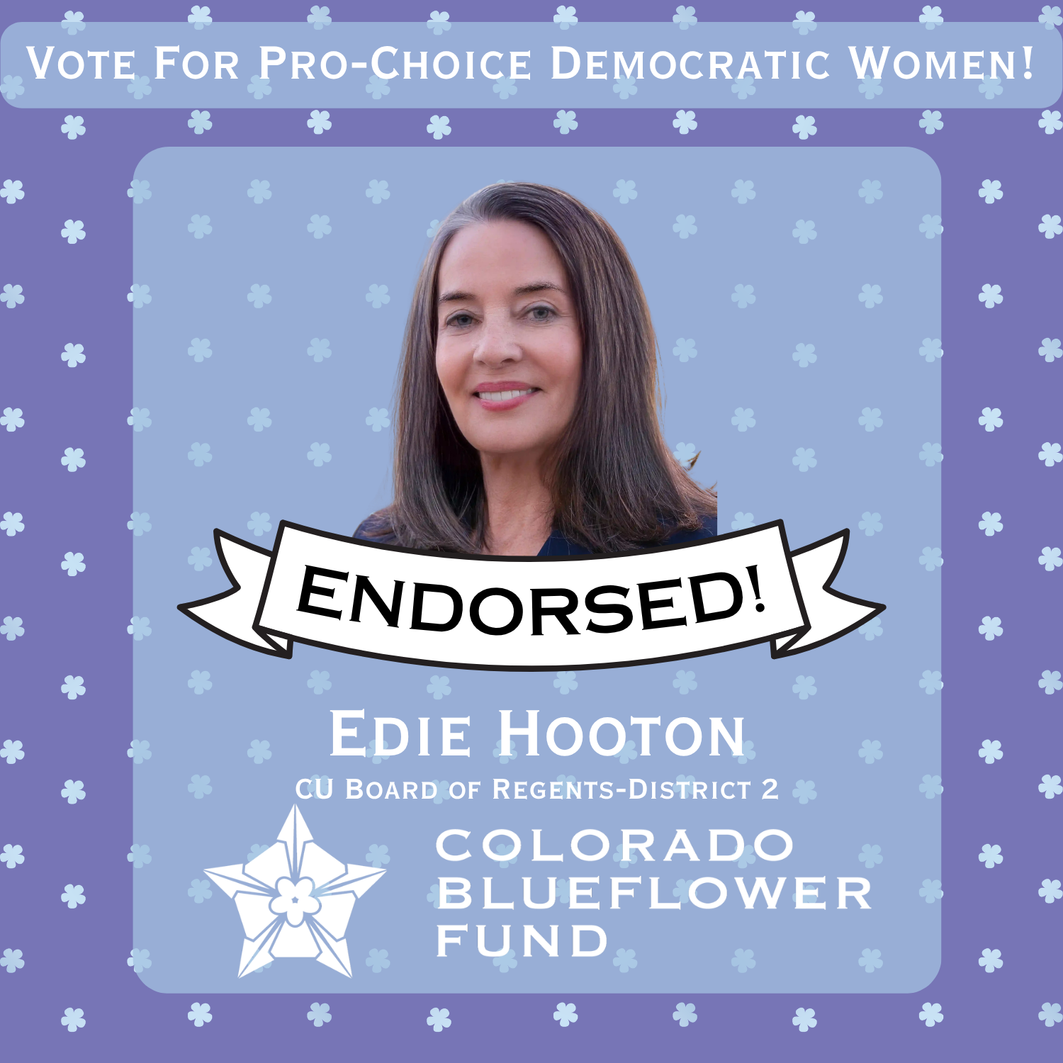 CO Blueflower Fund - removes barriers so talented women can seek public office
