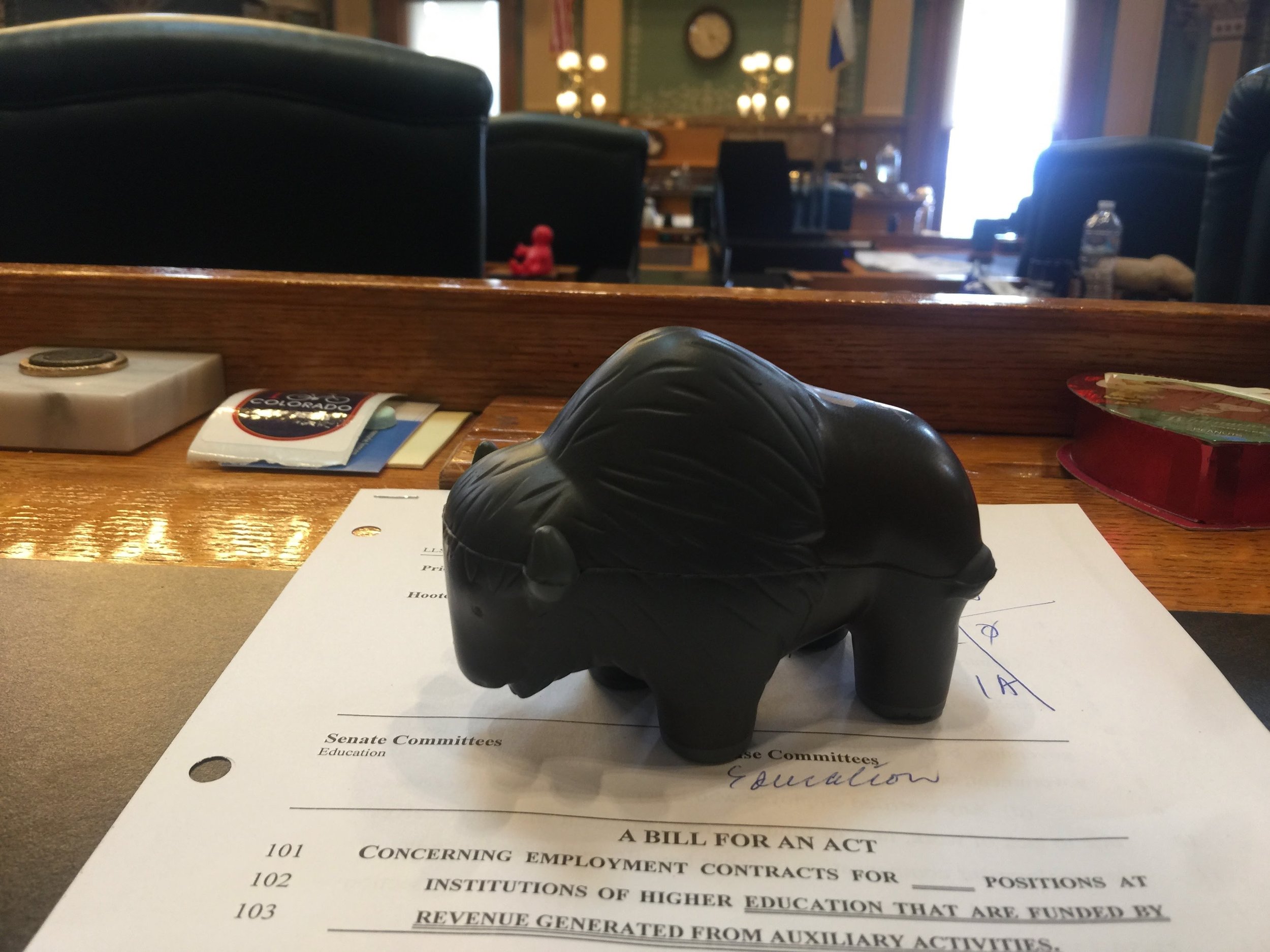 Buffalo on Edies desk.jpeg