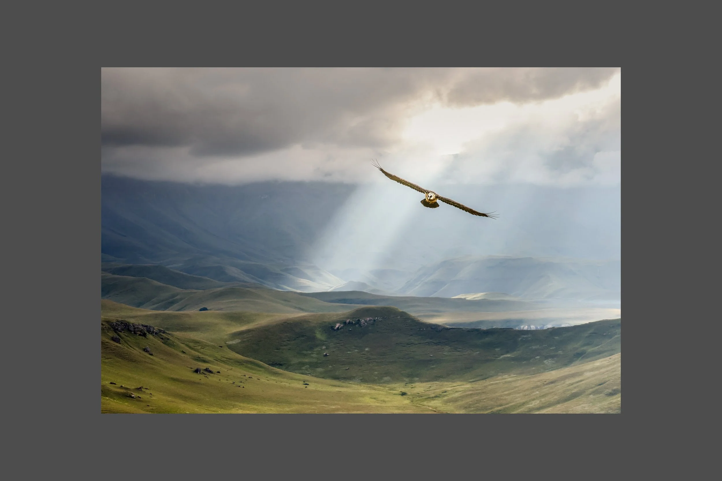 My Drakensberg Kingdom