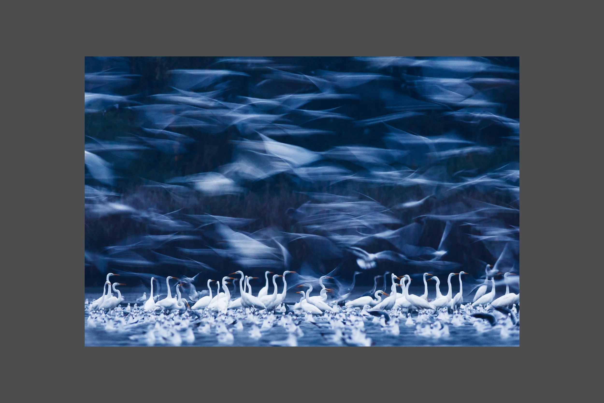 Phantoms of the Morning