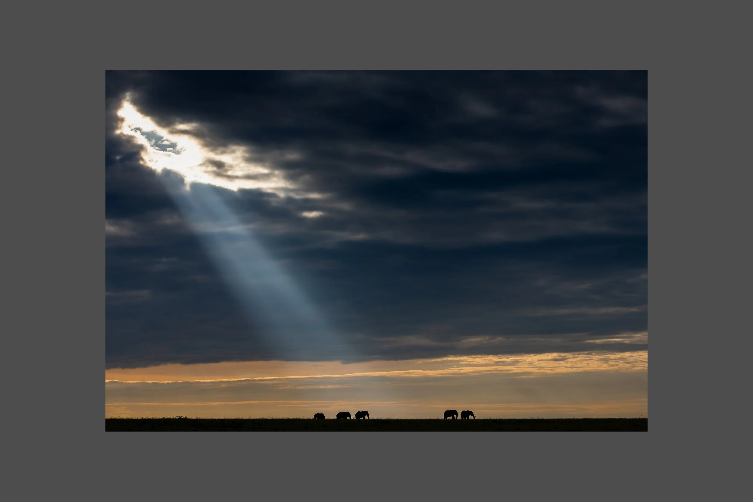 Out Of The Darkness Cometh Light