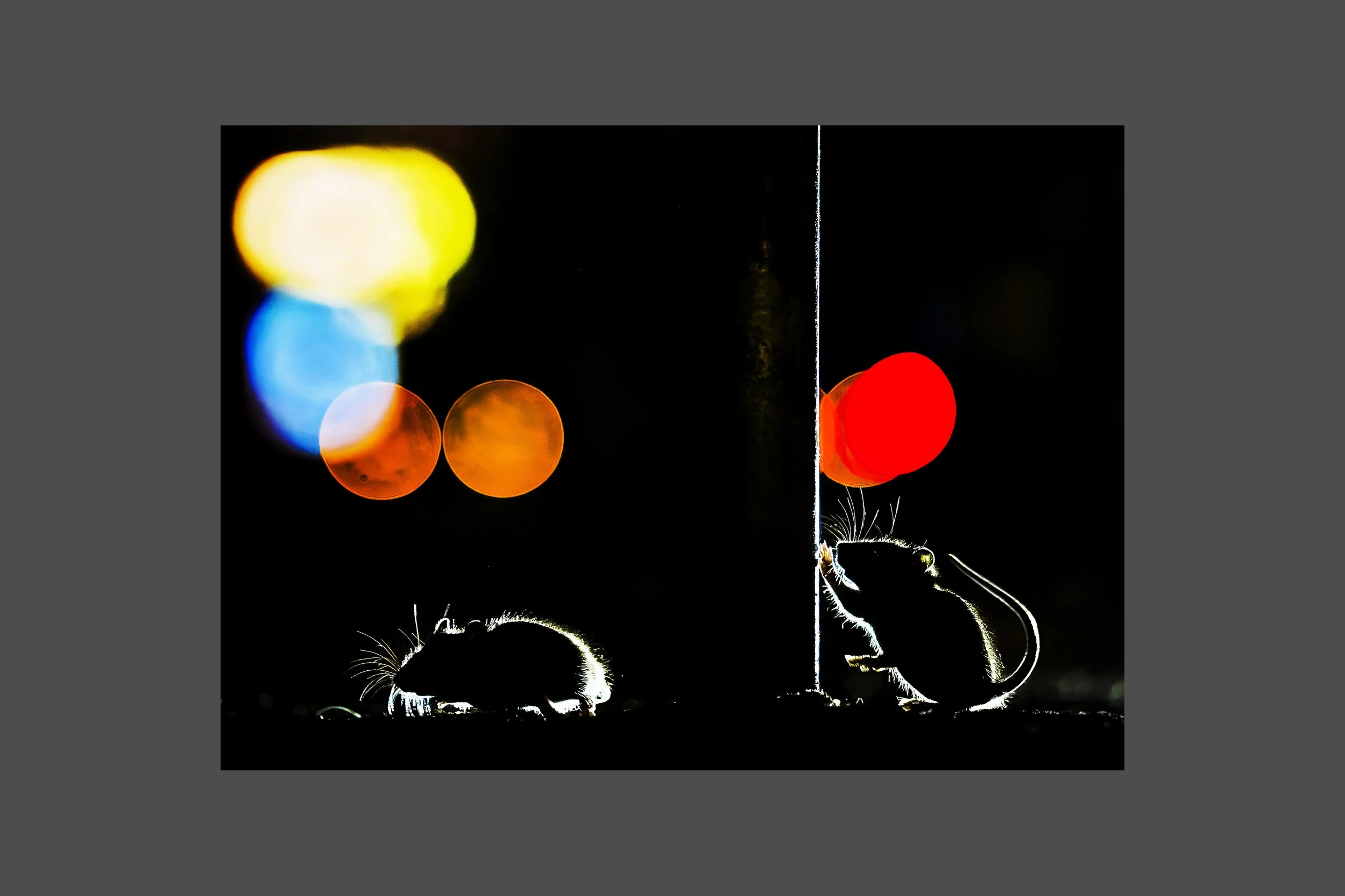 On the Outskirts of Town