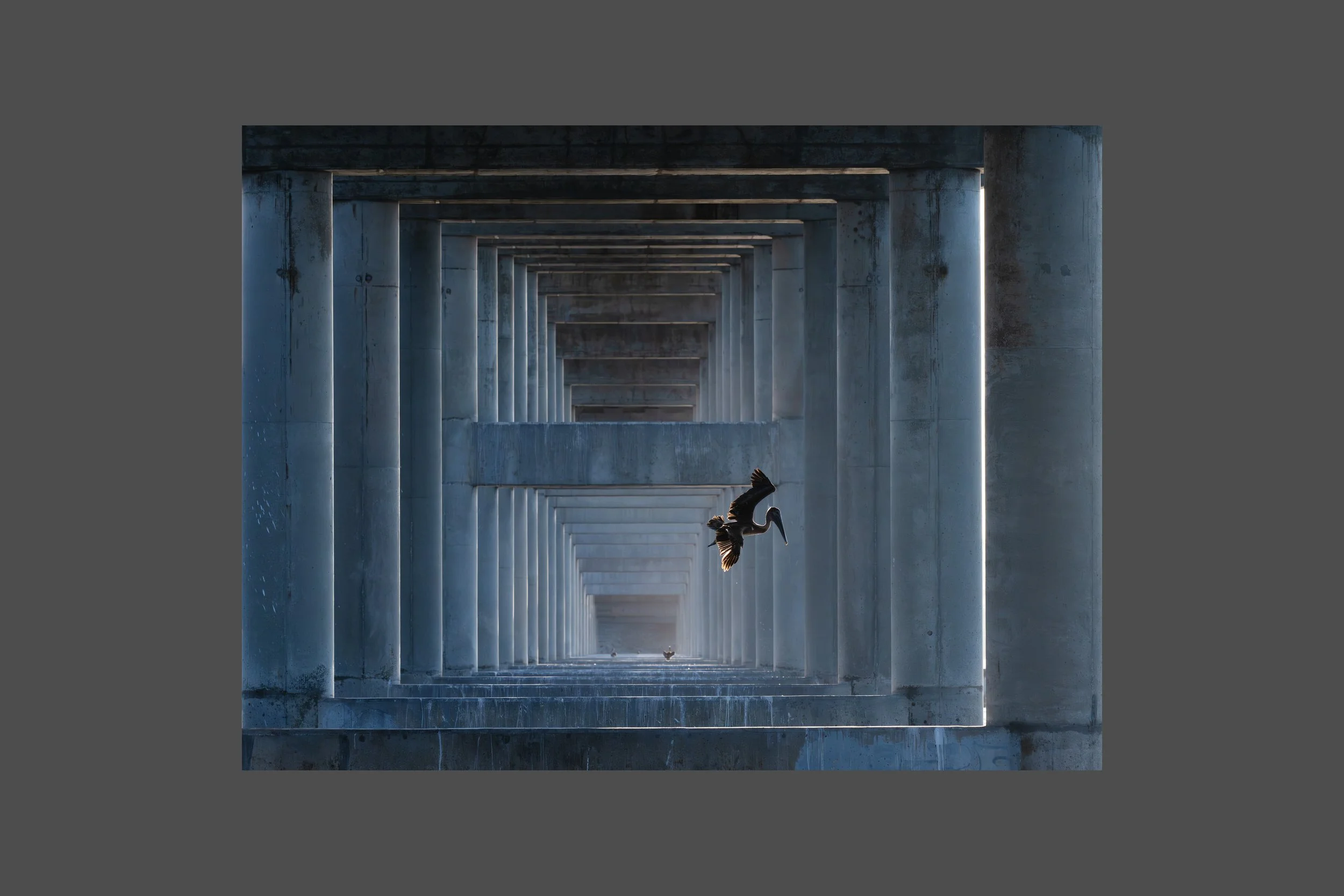 Early Morning Under a Florida Bridge