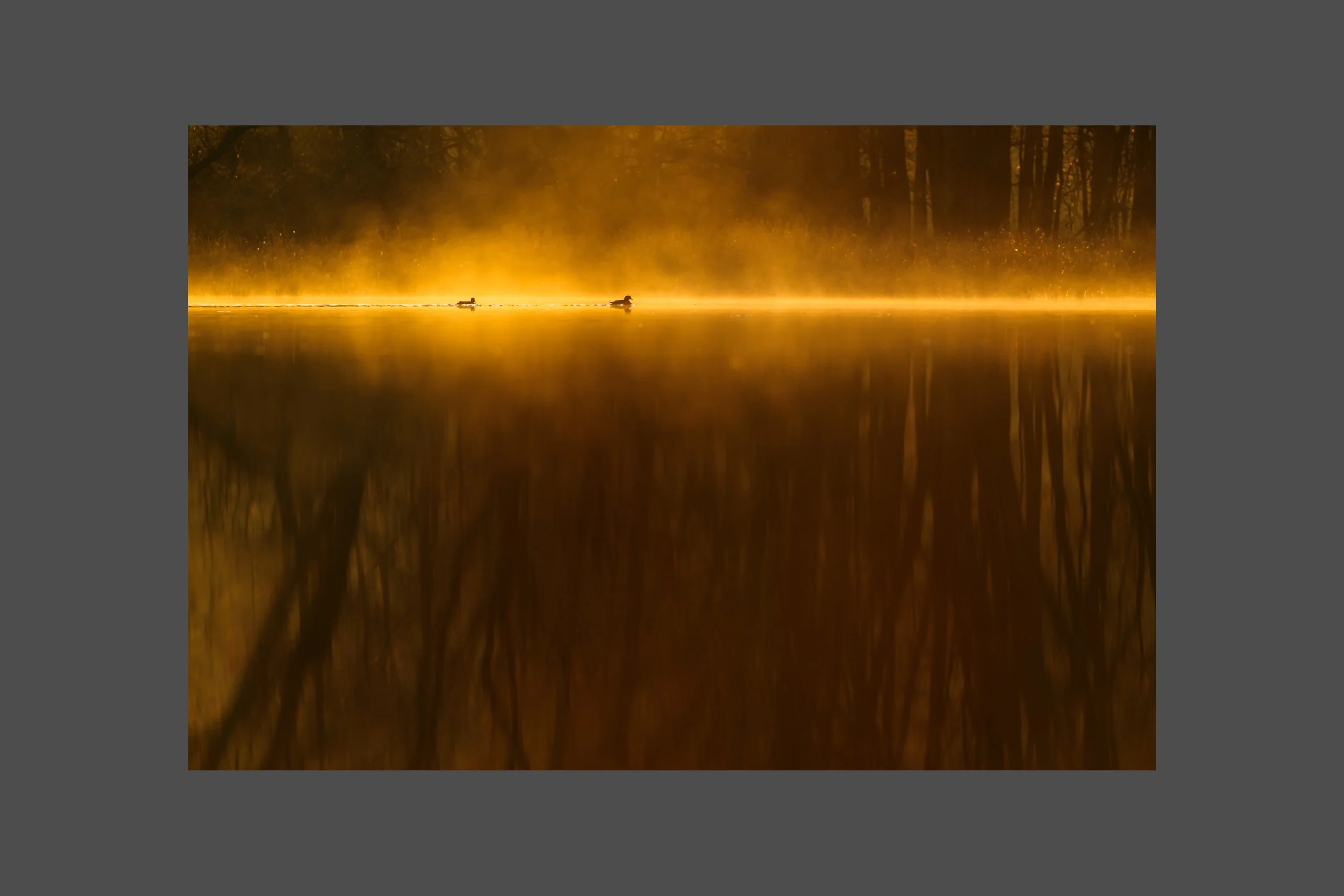 Drifting Through Light