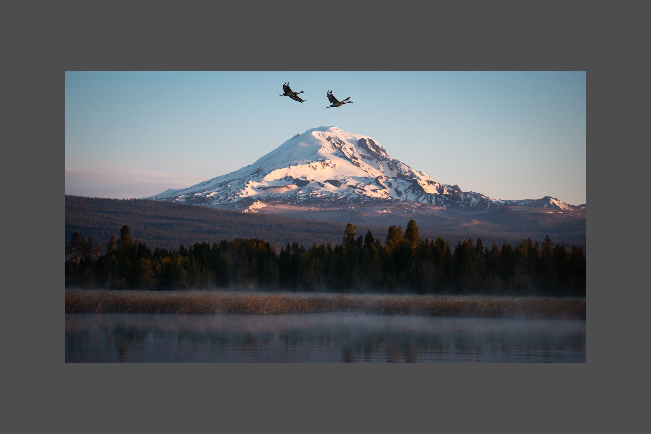 Sunrise at Mt Adams