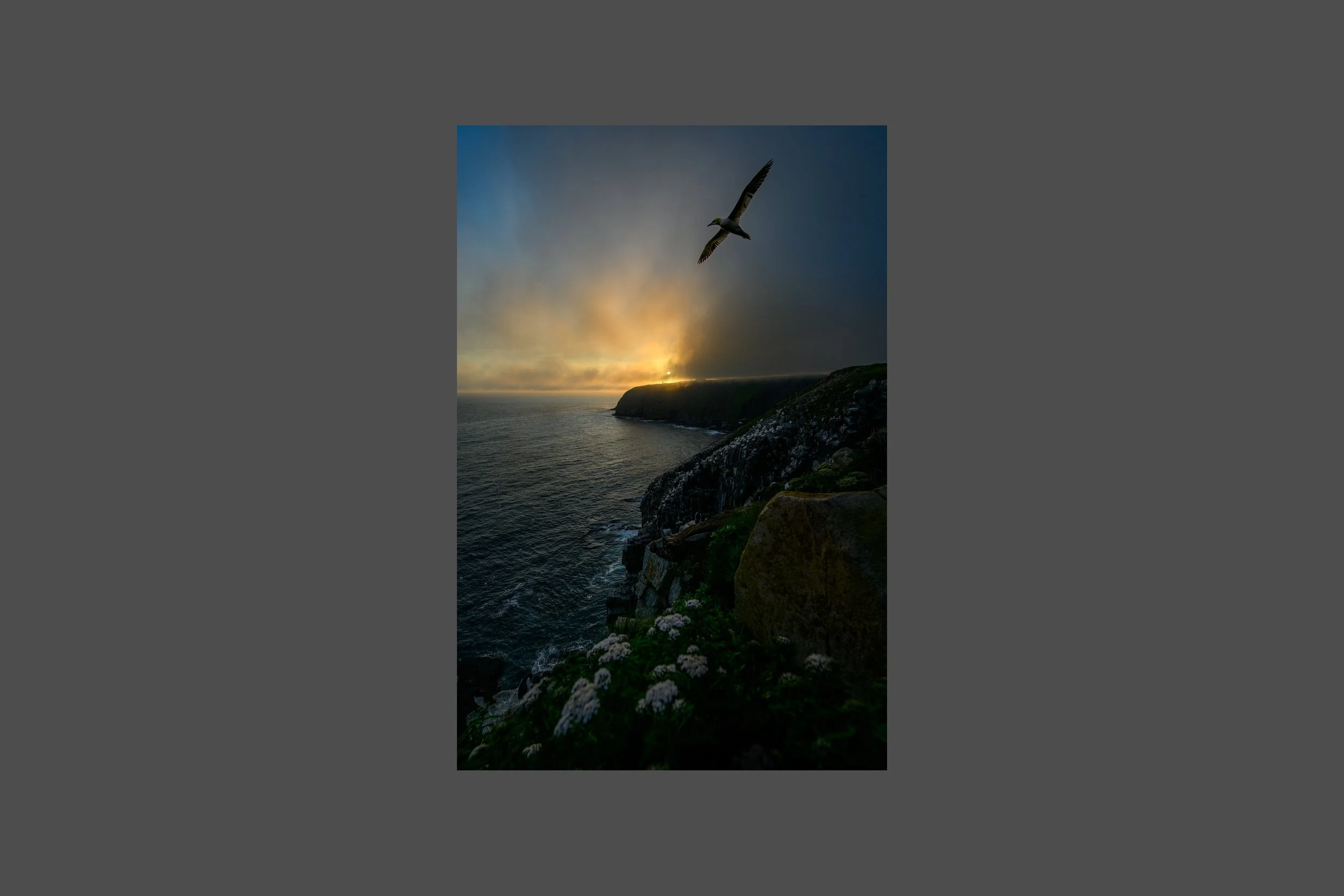 Sunset Glider