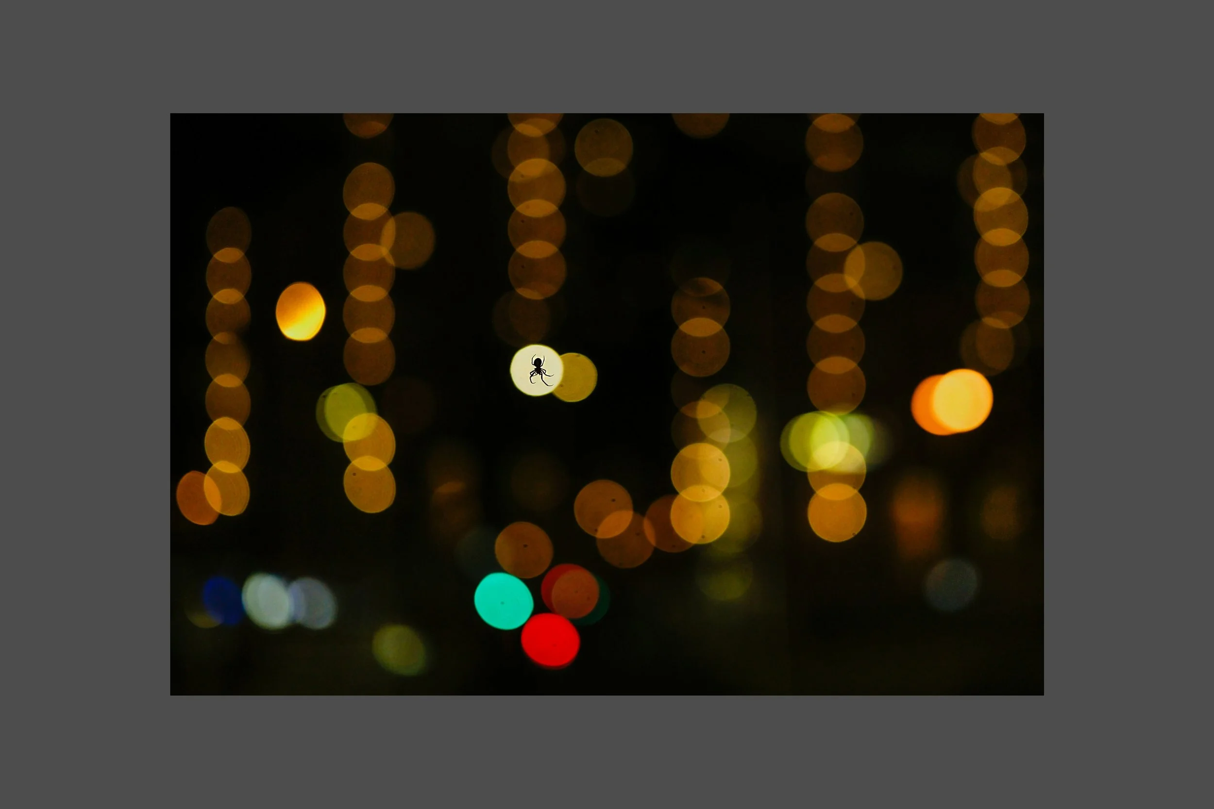 City Lights