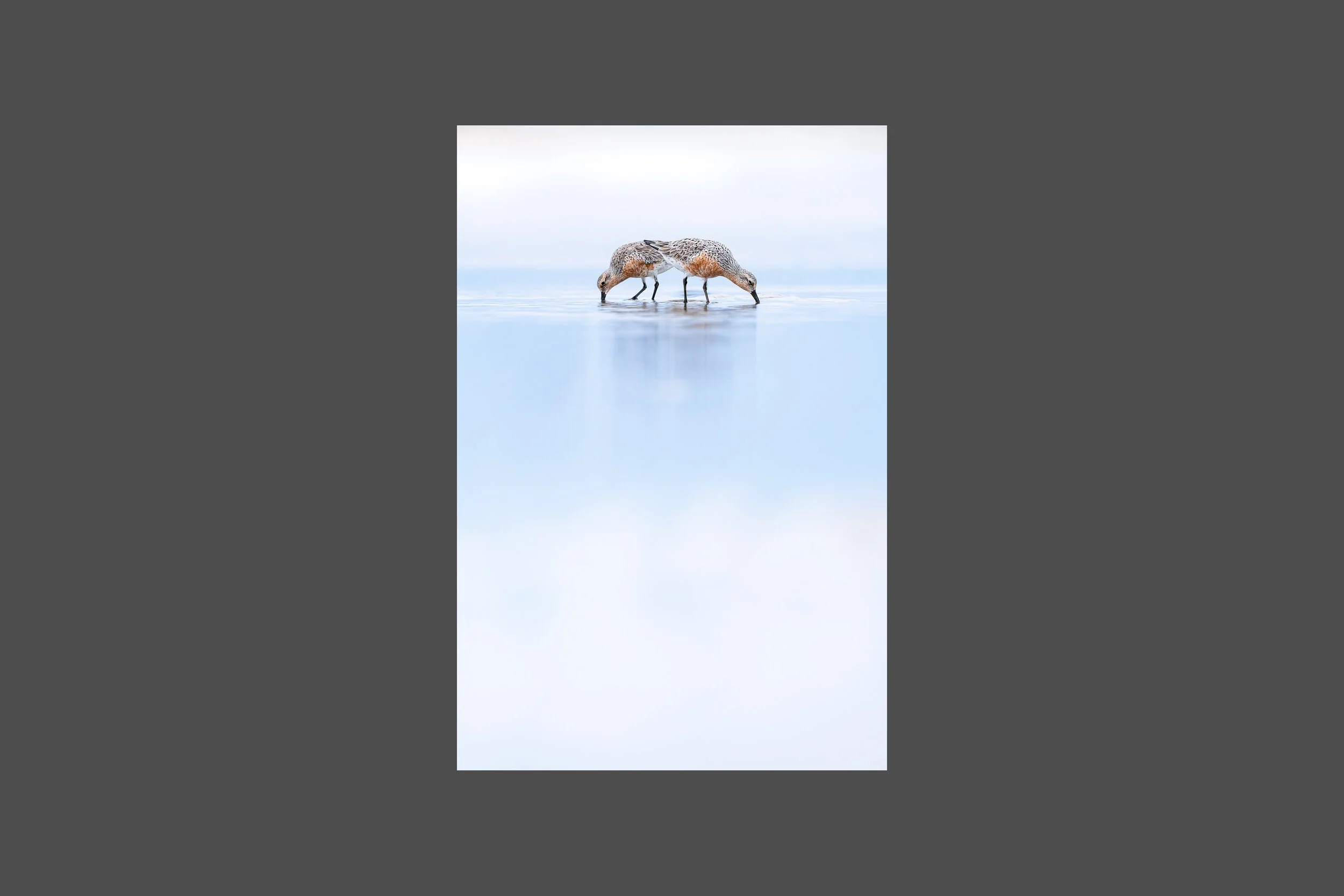 Parallel