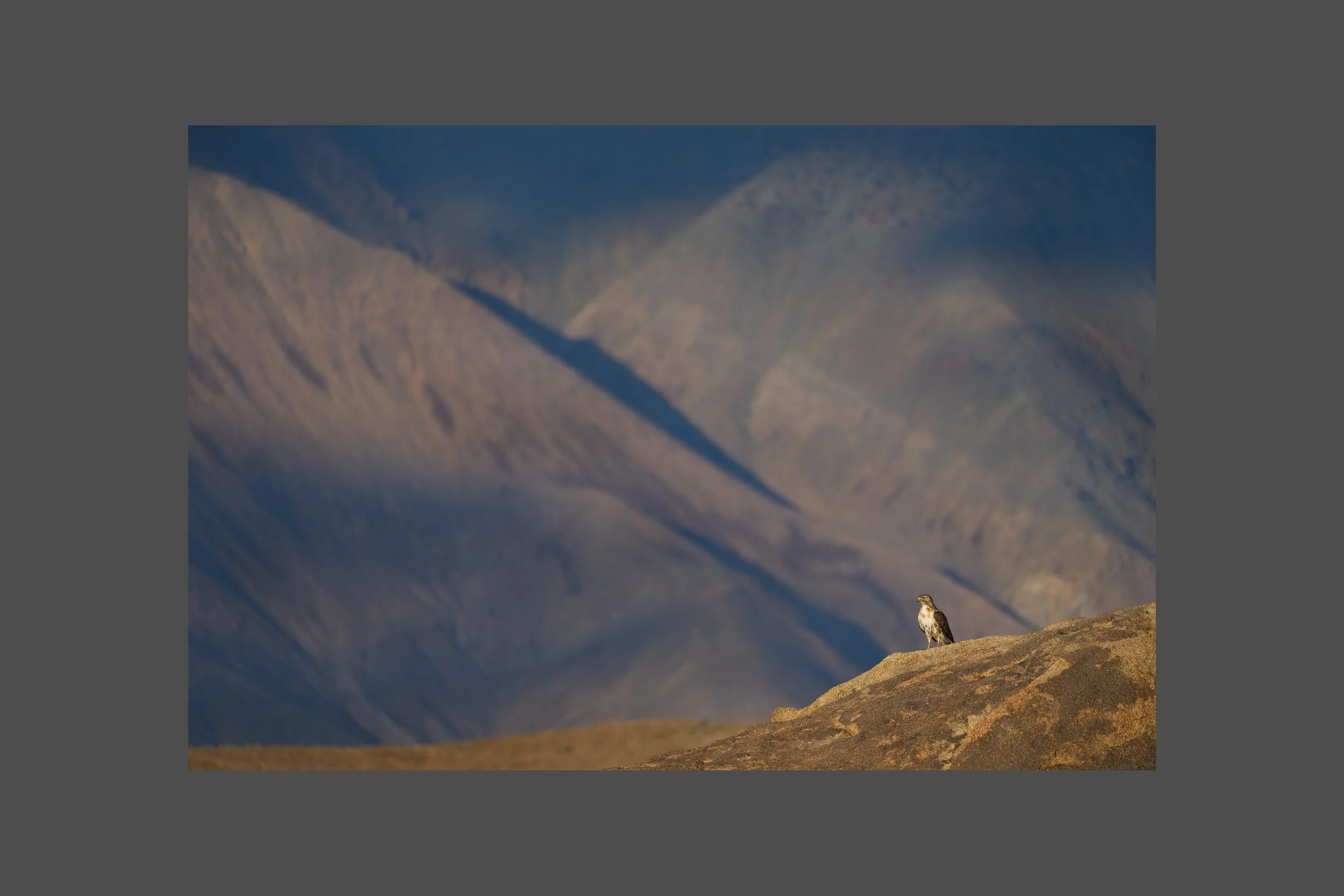 Inyo Sunset