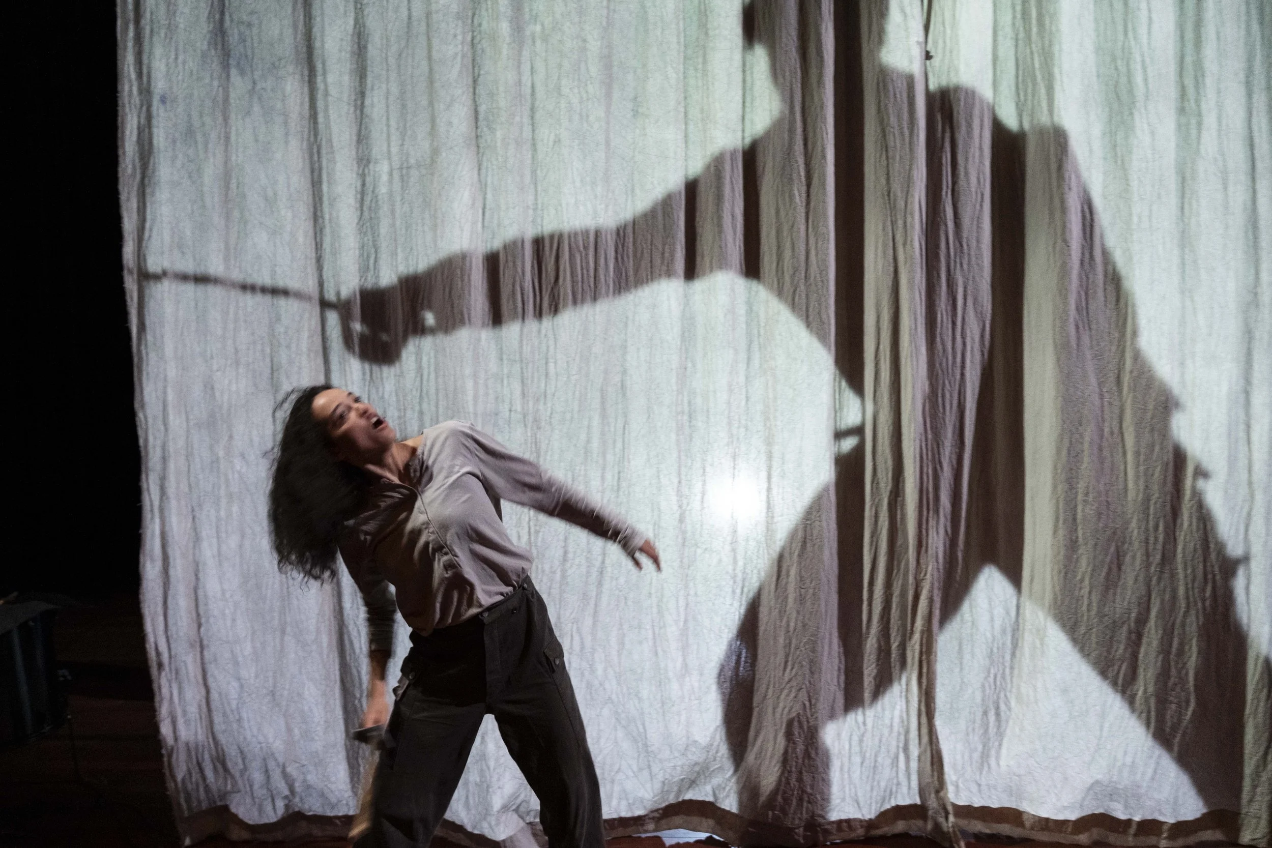 Performer on stage with a curtain backdrop, casting a large shadow of a person holding a briefcase and pointing, creating a dramatic visual effect.