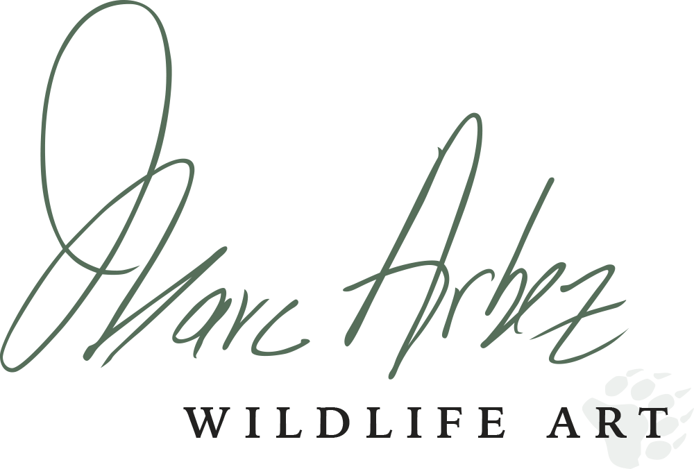 Marc Arbez Wildlife Art