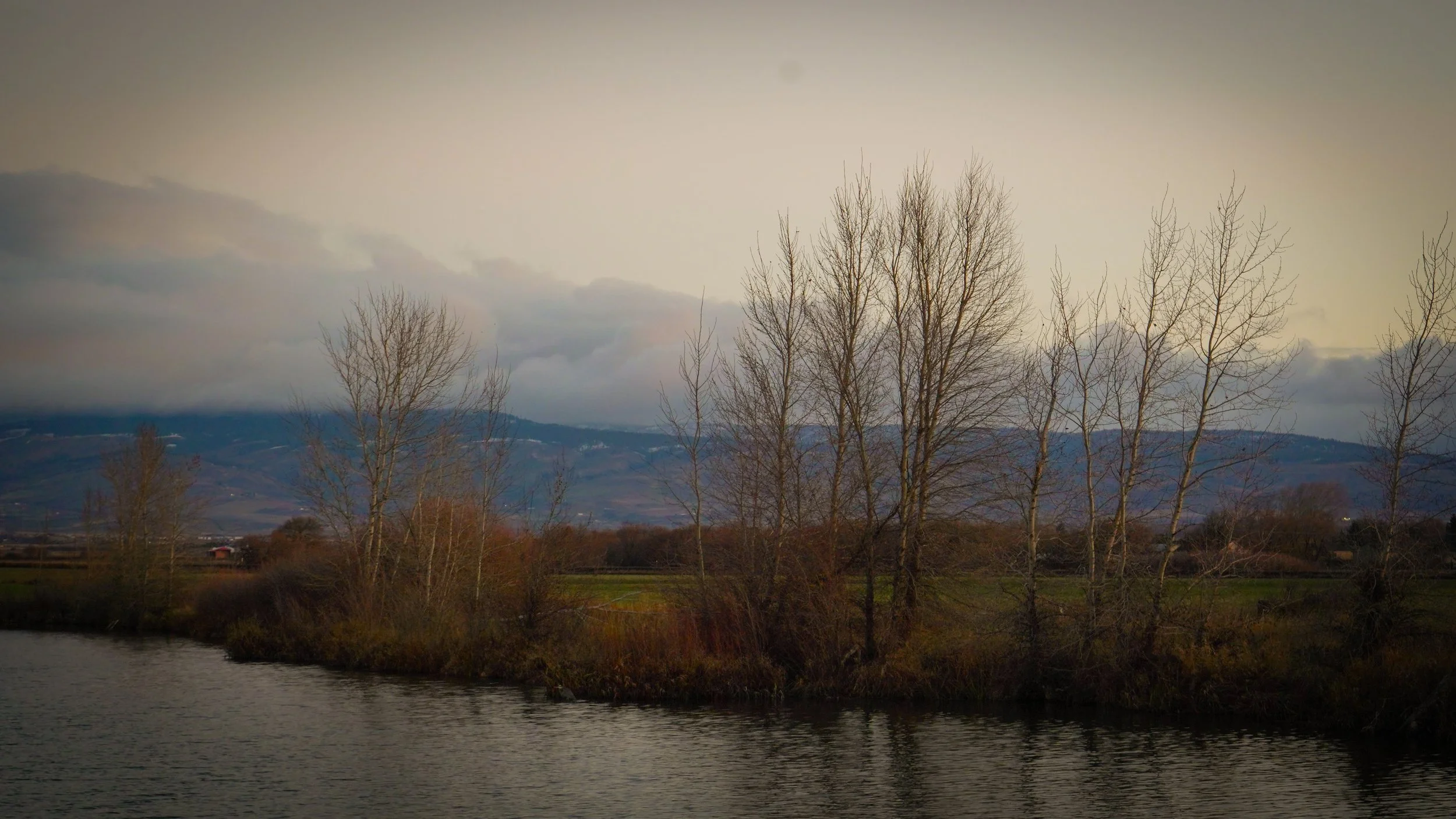 Rainy Mountain View.jpg