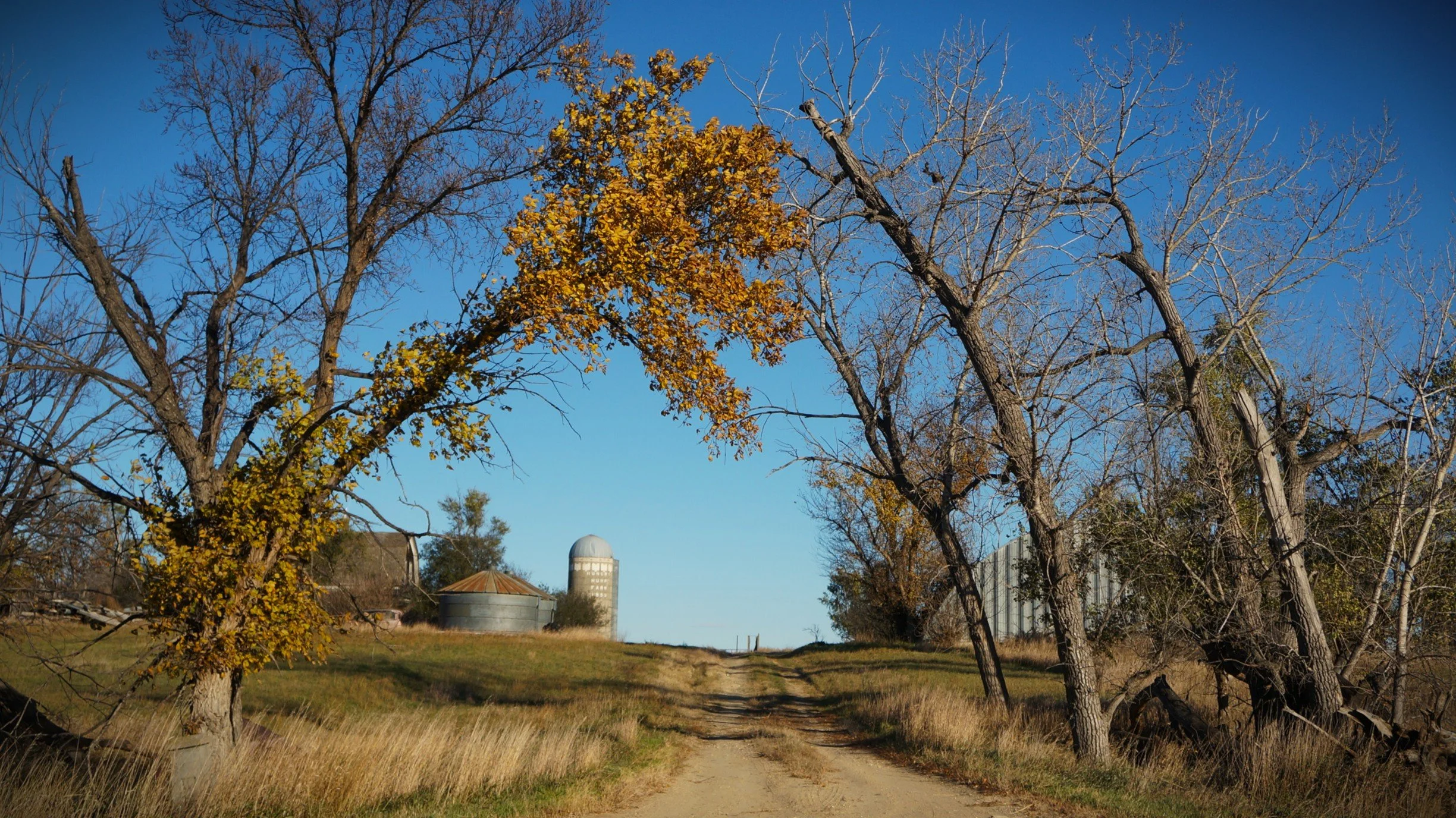 Drive Way to Farm .JPG