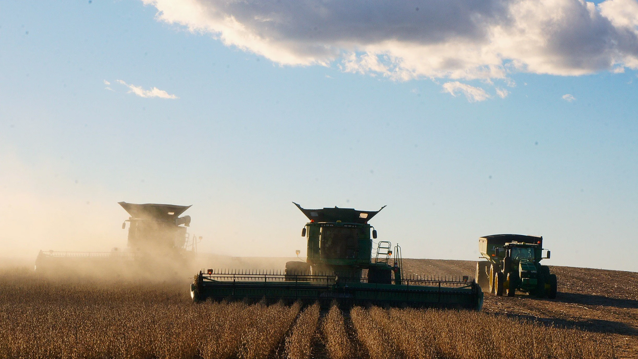 Harvest Money Shot.JPG