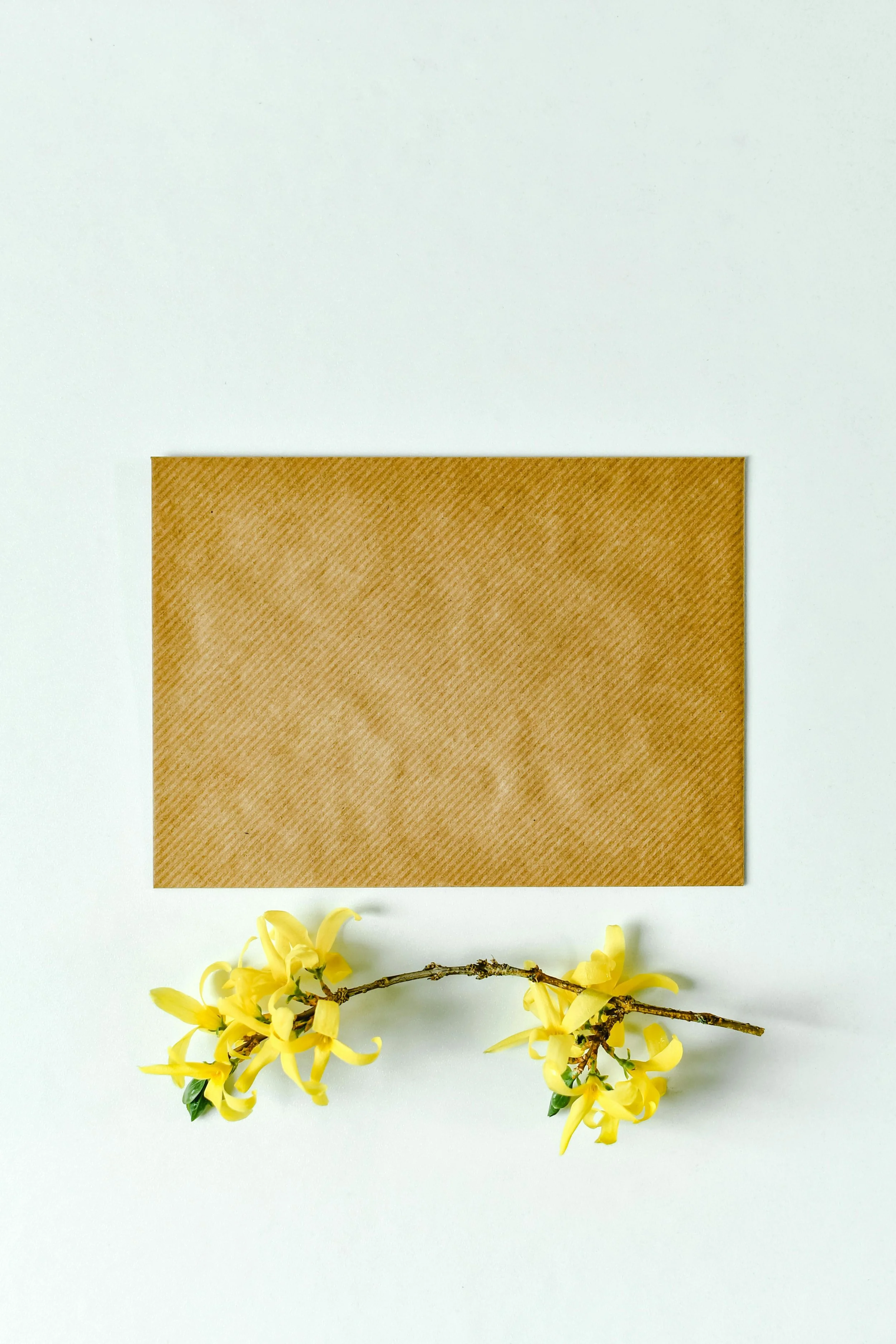 A blank brown textured card on white background with yellow flowers at the bottom.