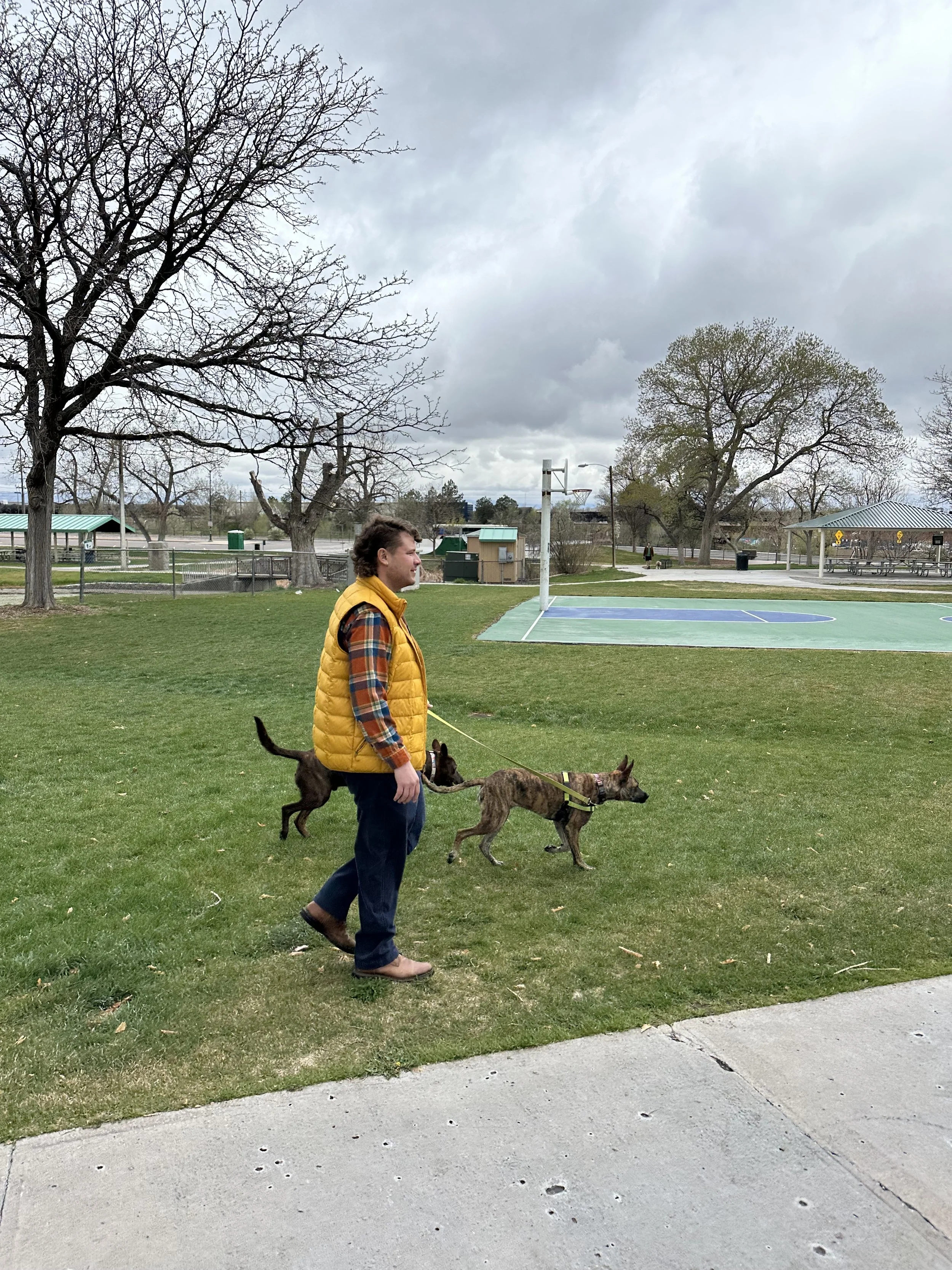 Picture of Rick Somerson's husband, Jacob, walking their rescue pups in Cushing Park.