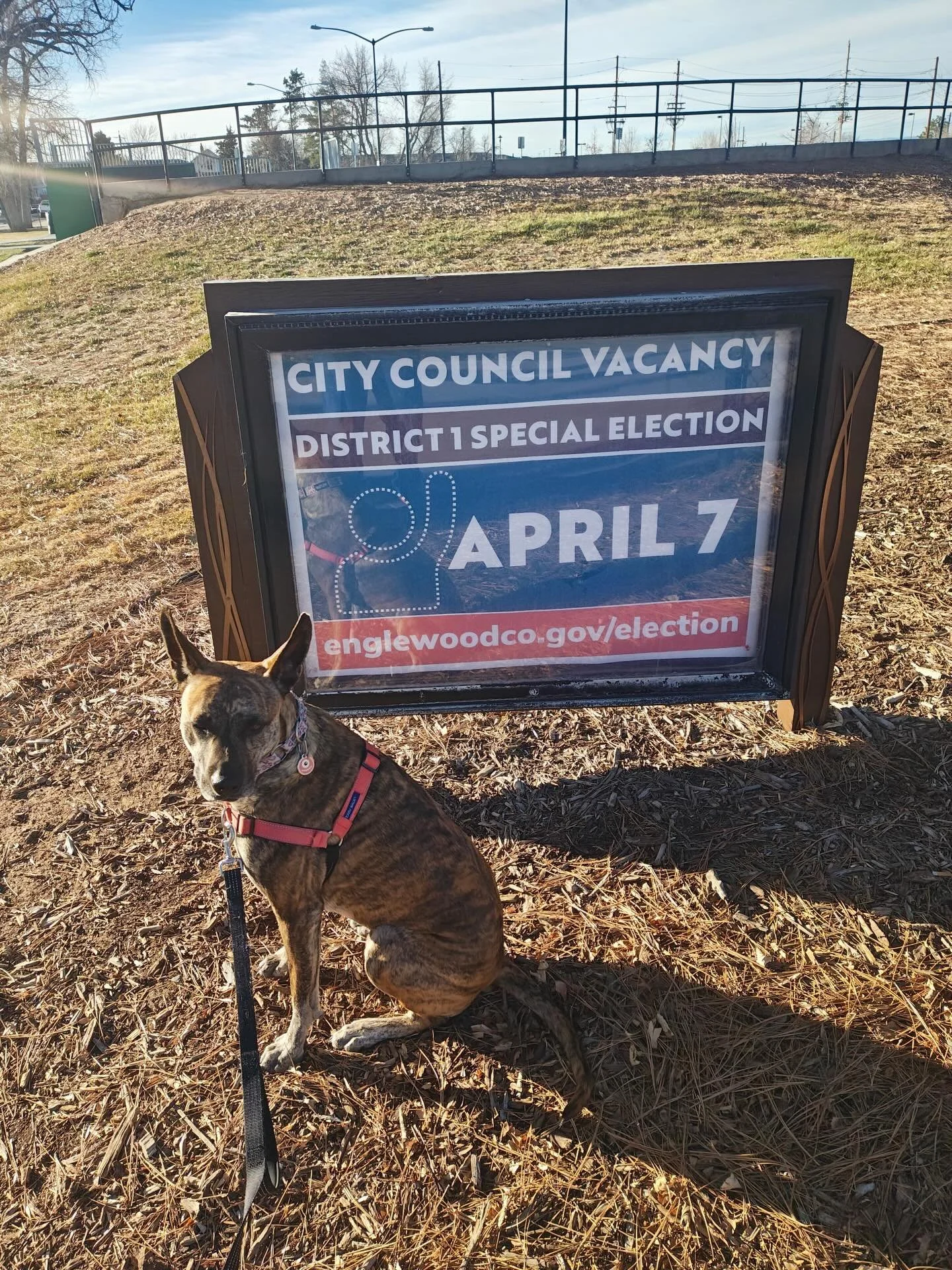Tasha would like you to know that there is a special election on April 7 for the Englewood City Council District 1 seat. I would like you to know I&rsquo;m running! Shoot me a DM if you want to sign my signature petition, schedule a time to hear why 