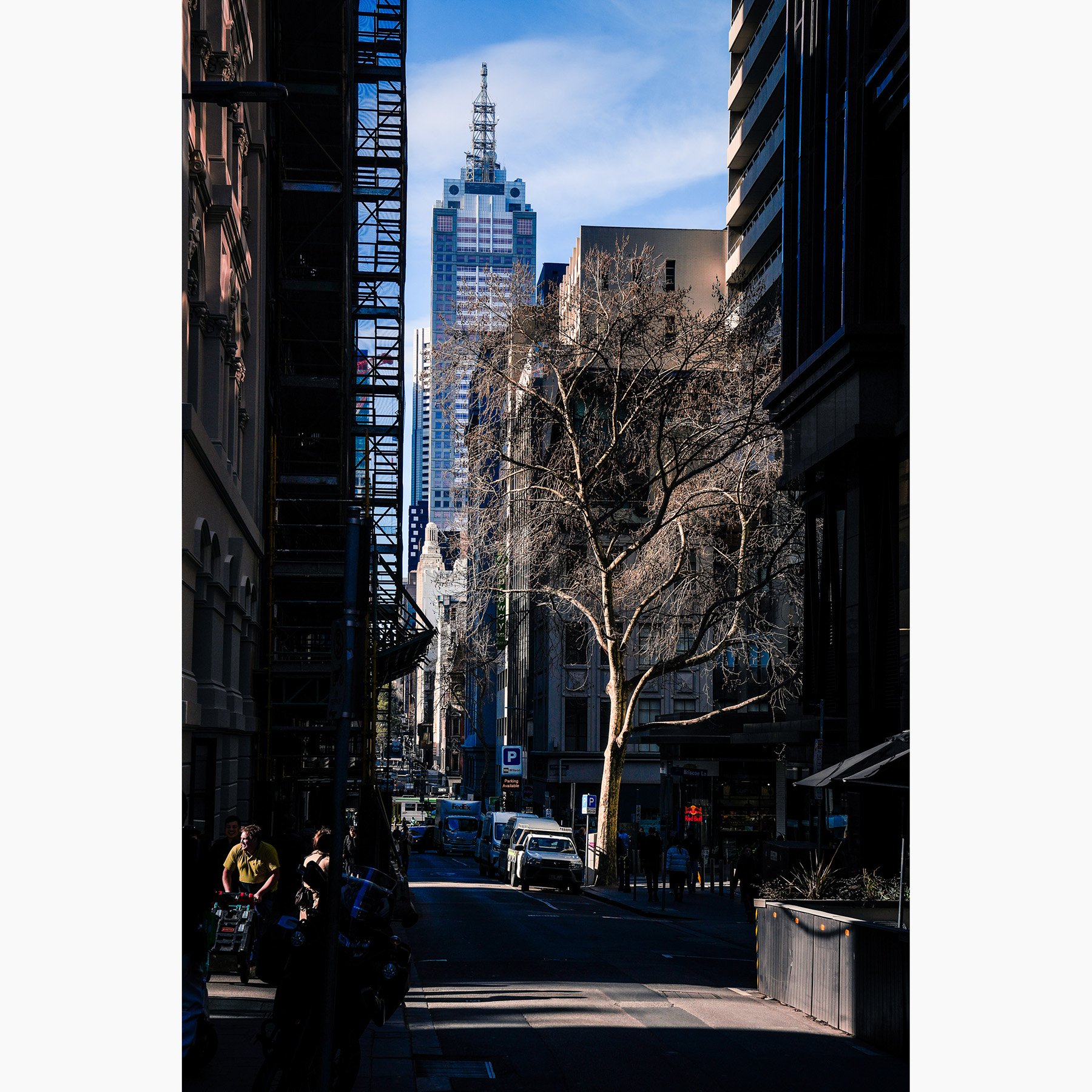 Melbourne city street with a lone winter tree framed by surrounding buildings and a skyscraper beyond.