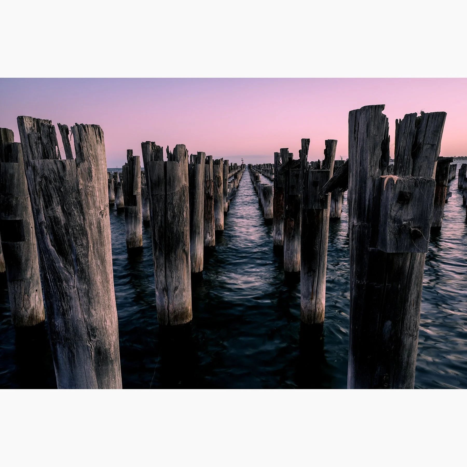 Weathered timber pylons at Princes Pier, Melbourne, extending into Port Phillip Bay beneath a pink twilight sky, captured as a fine art coastal photograph.