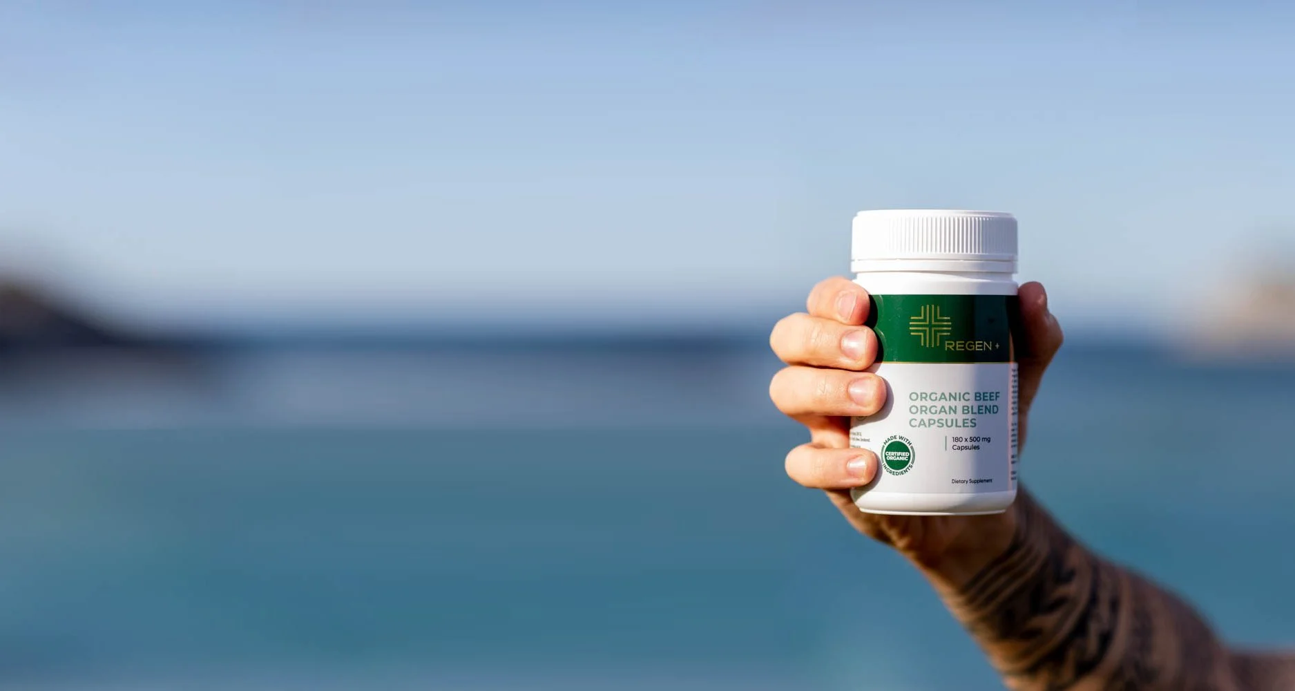 Hand holding a container of REGEN+ organic beef organ blend capsules against a blurred outdoor background.