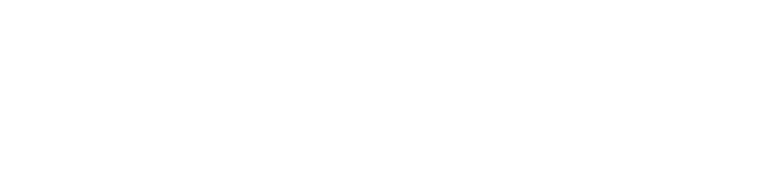 LUXION